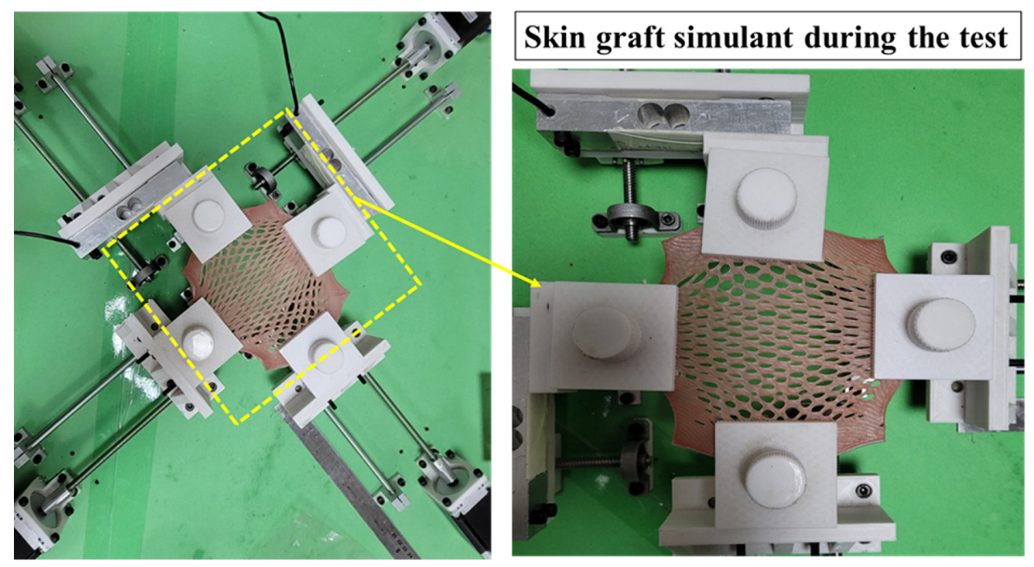 Dermato 03 00010 g005 Dermato 03 00010 g005