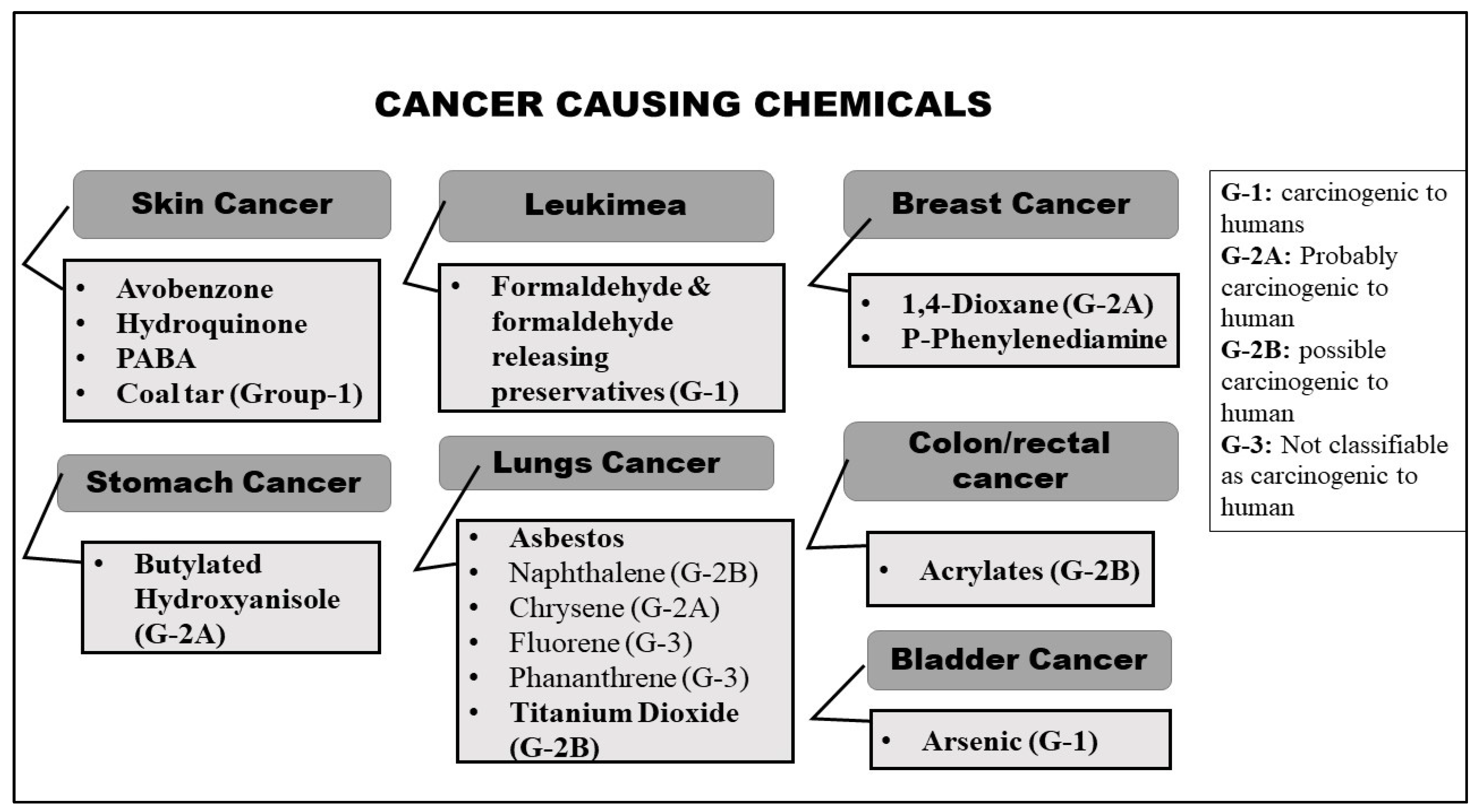 Dermato 03 00011 g003