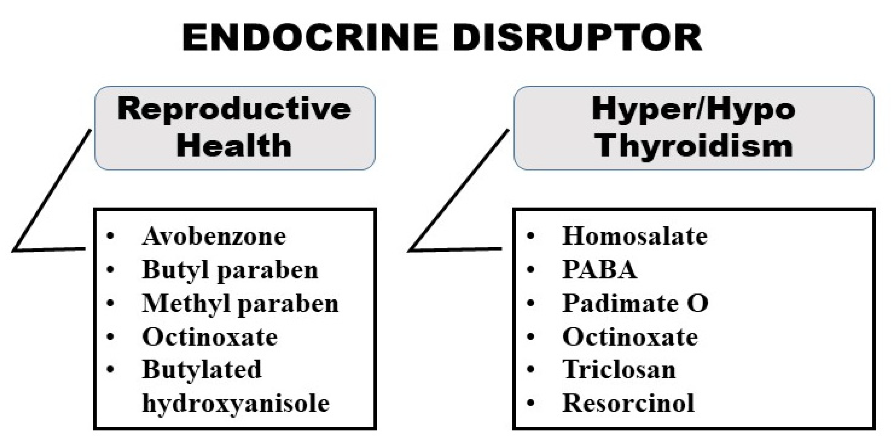 Dermato 03 00011 g005