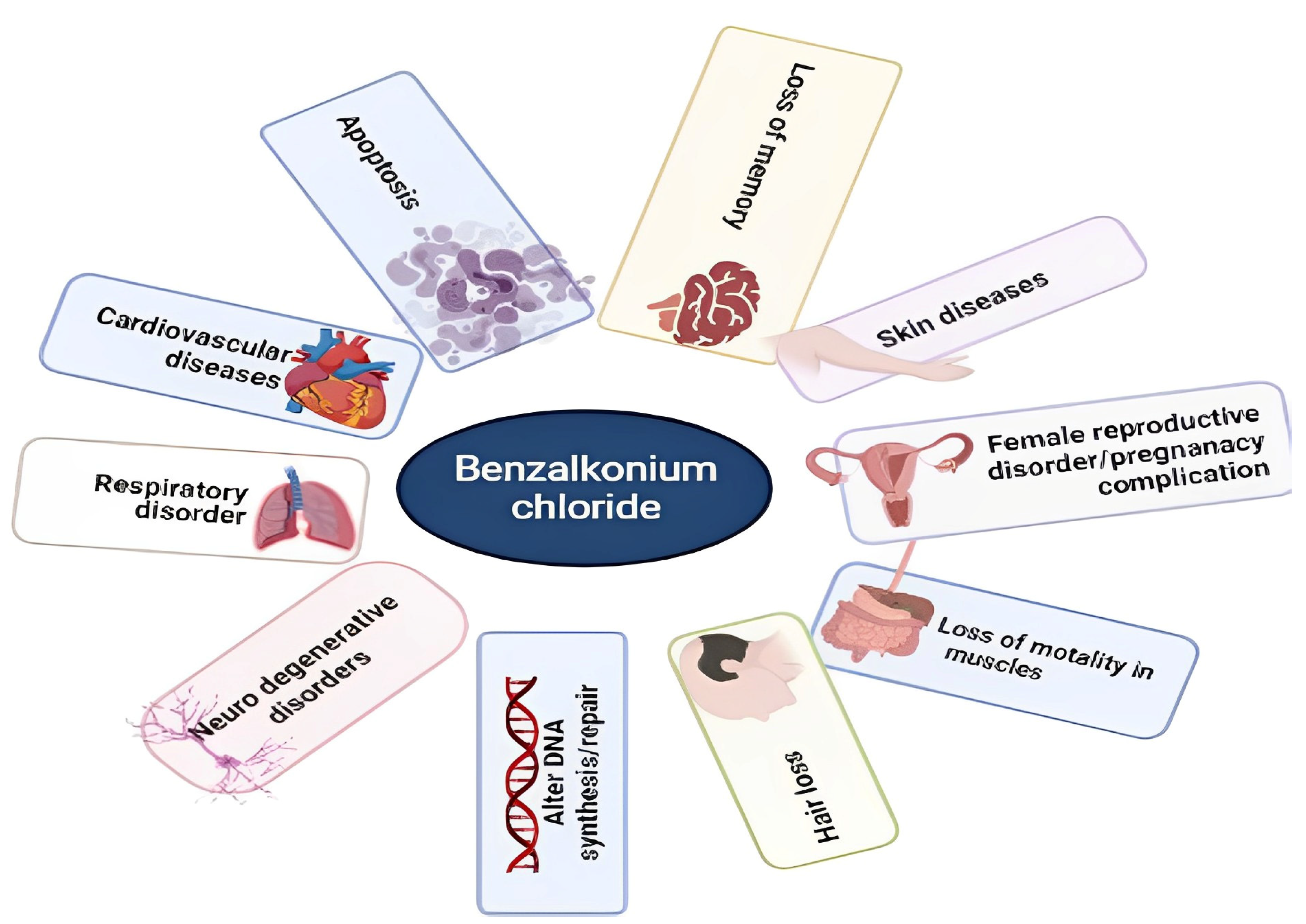 Dermato 03 00011 g006