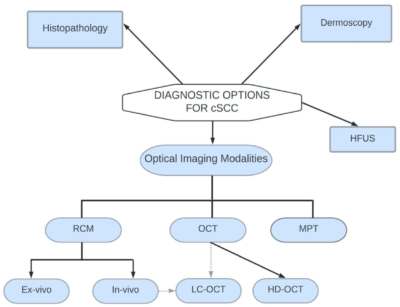 Dermato 03 00013 g004 Dermato 03 00013 g004