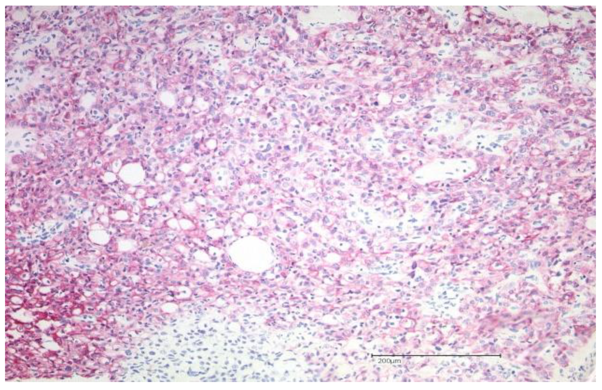 Dermato 03 00020 g002 Dermato 03 00020 g002