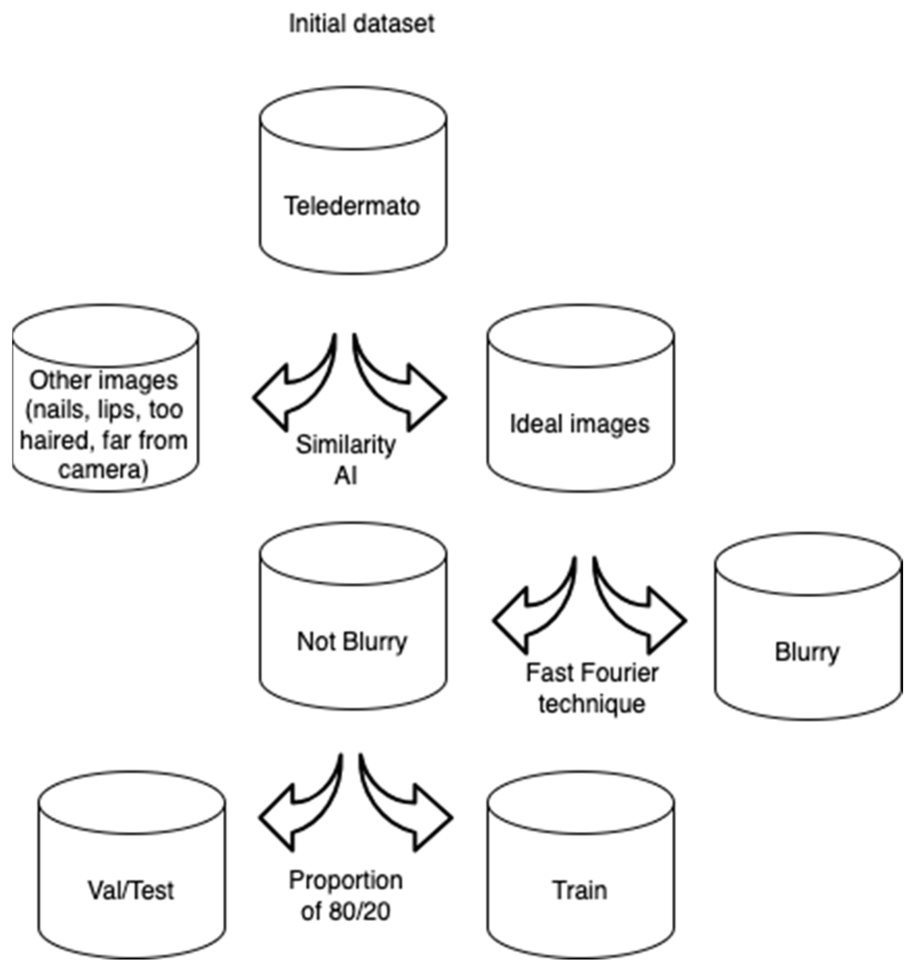 Dermato 04 00011 g003