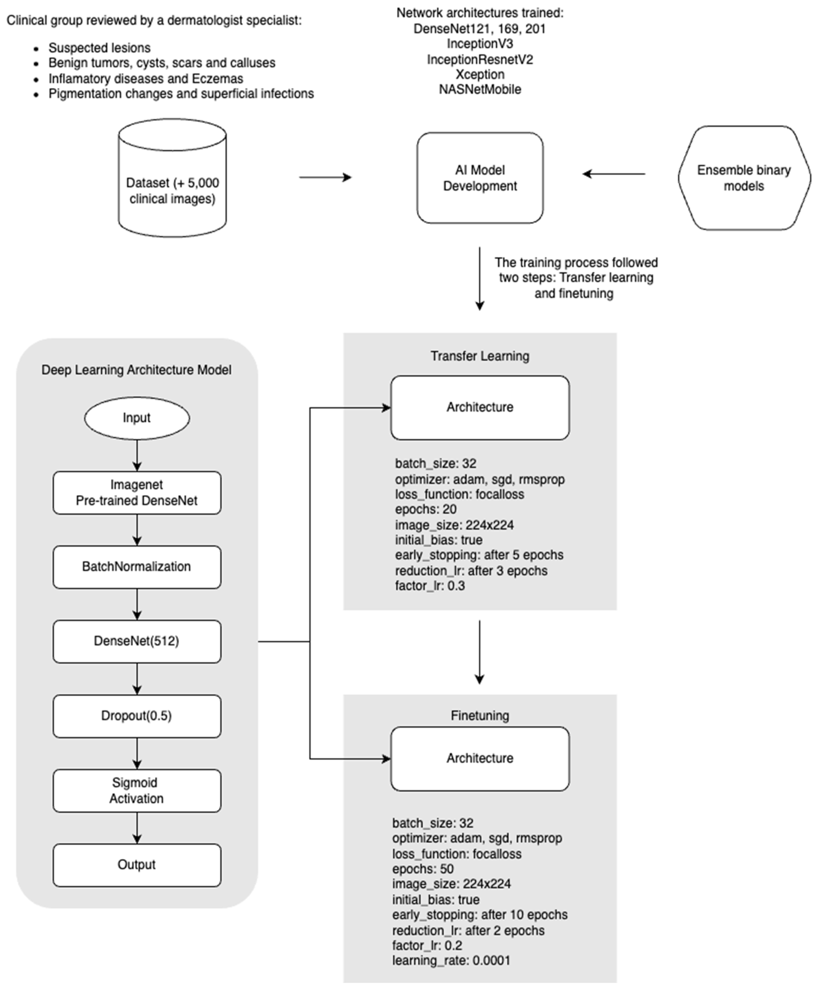 Dermato 04 00011 g004