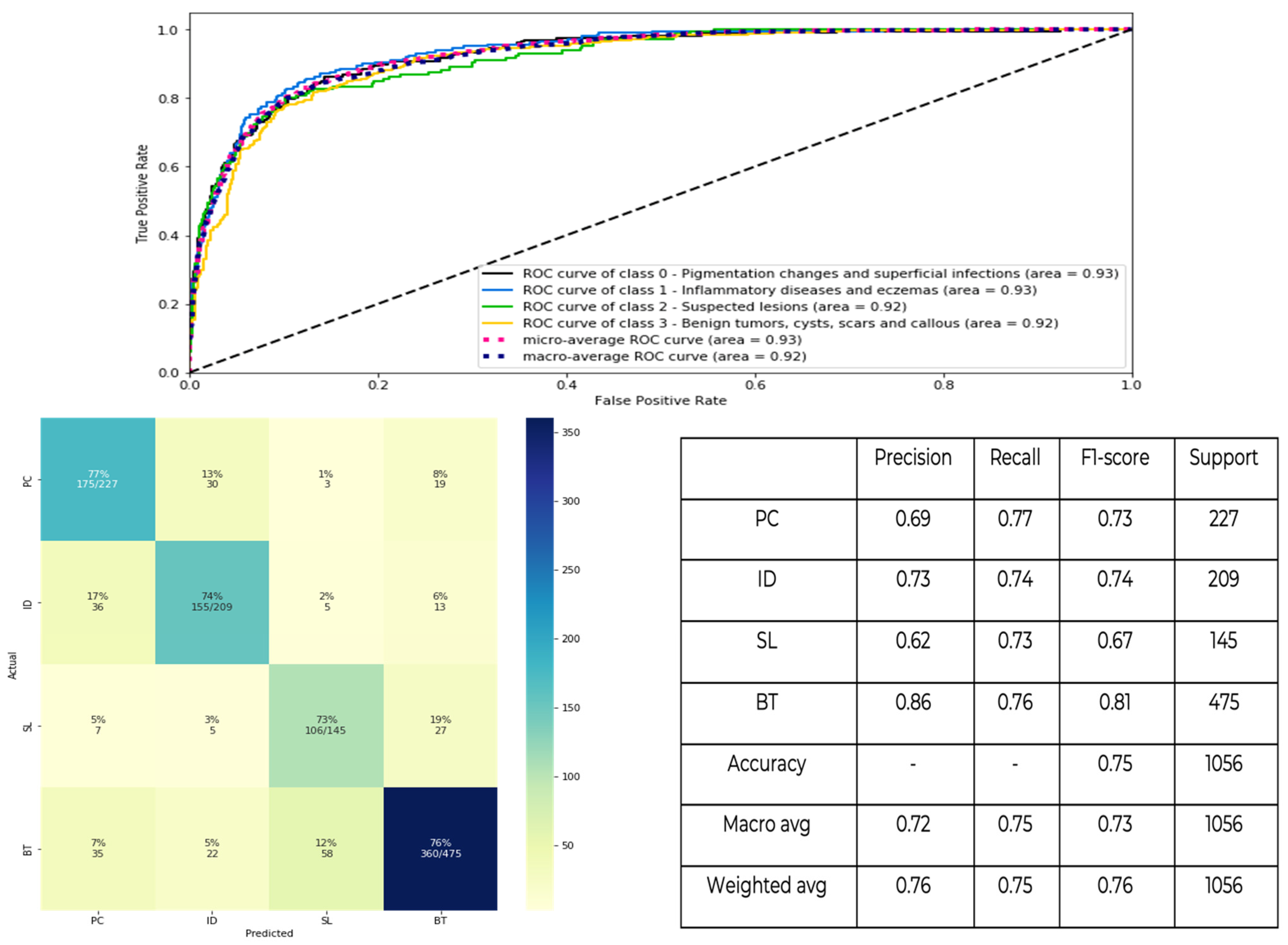Dermato 04 00011 g005