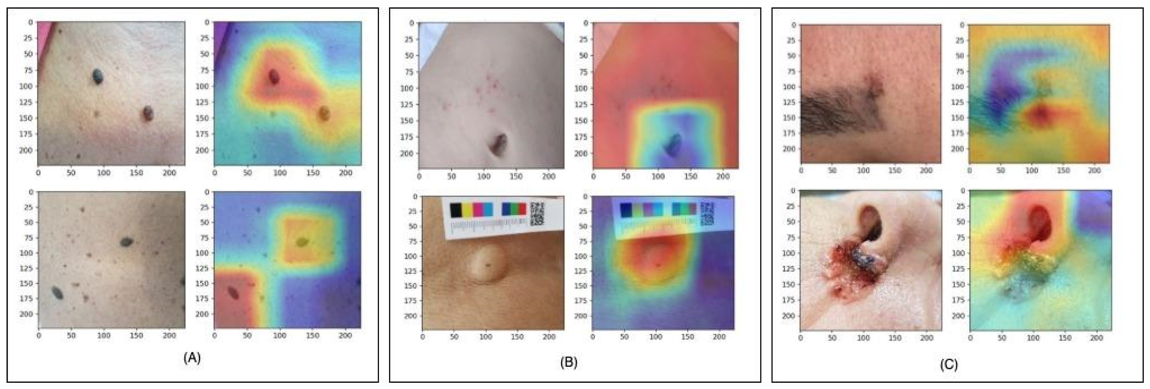 Dermato 04 00011 g009