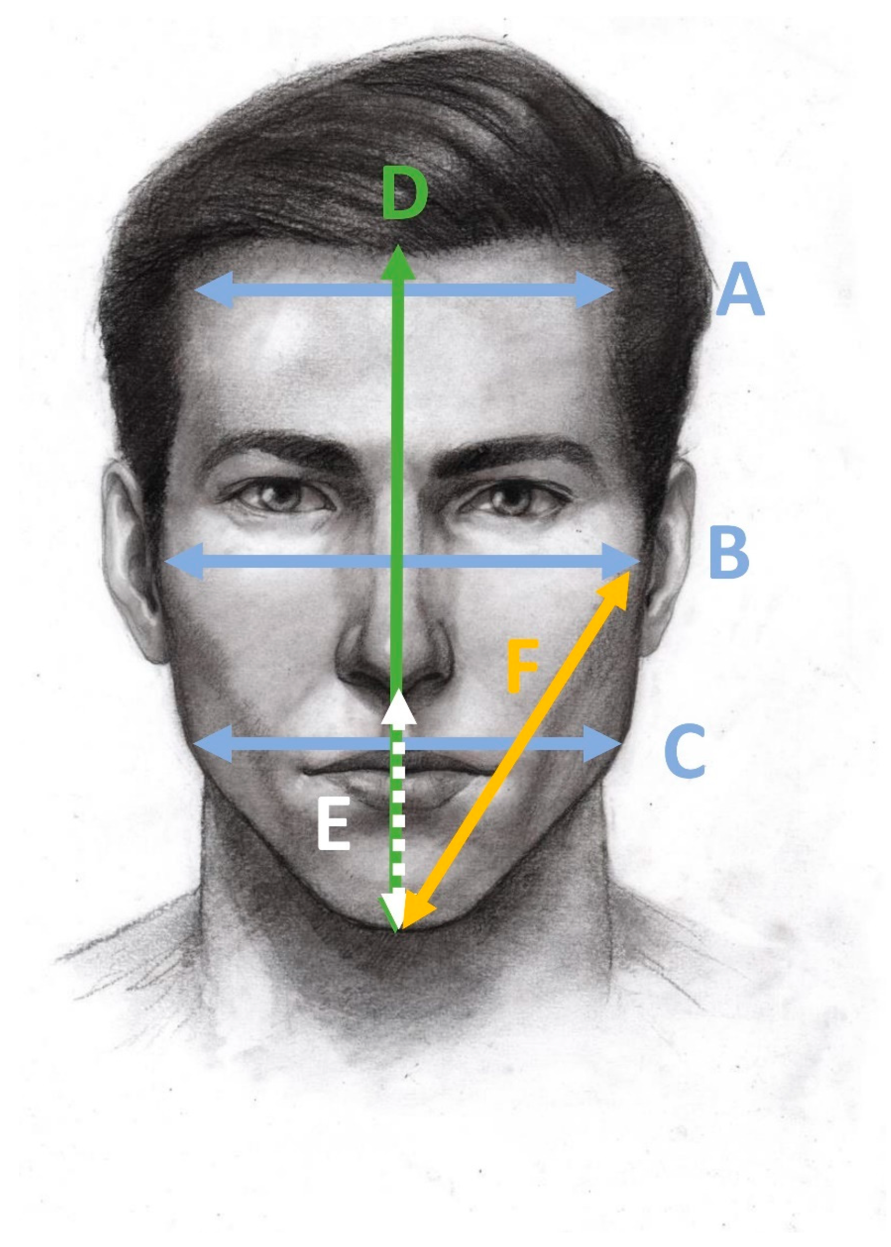 Dermato 04 00012 g001