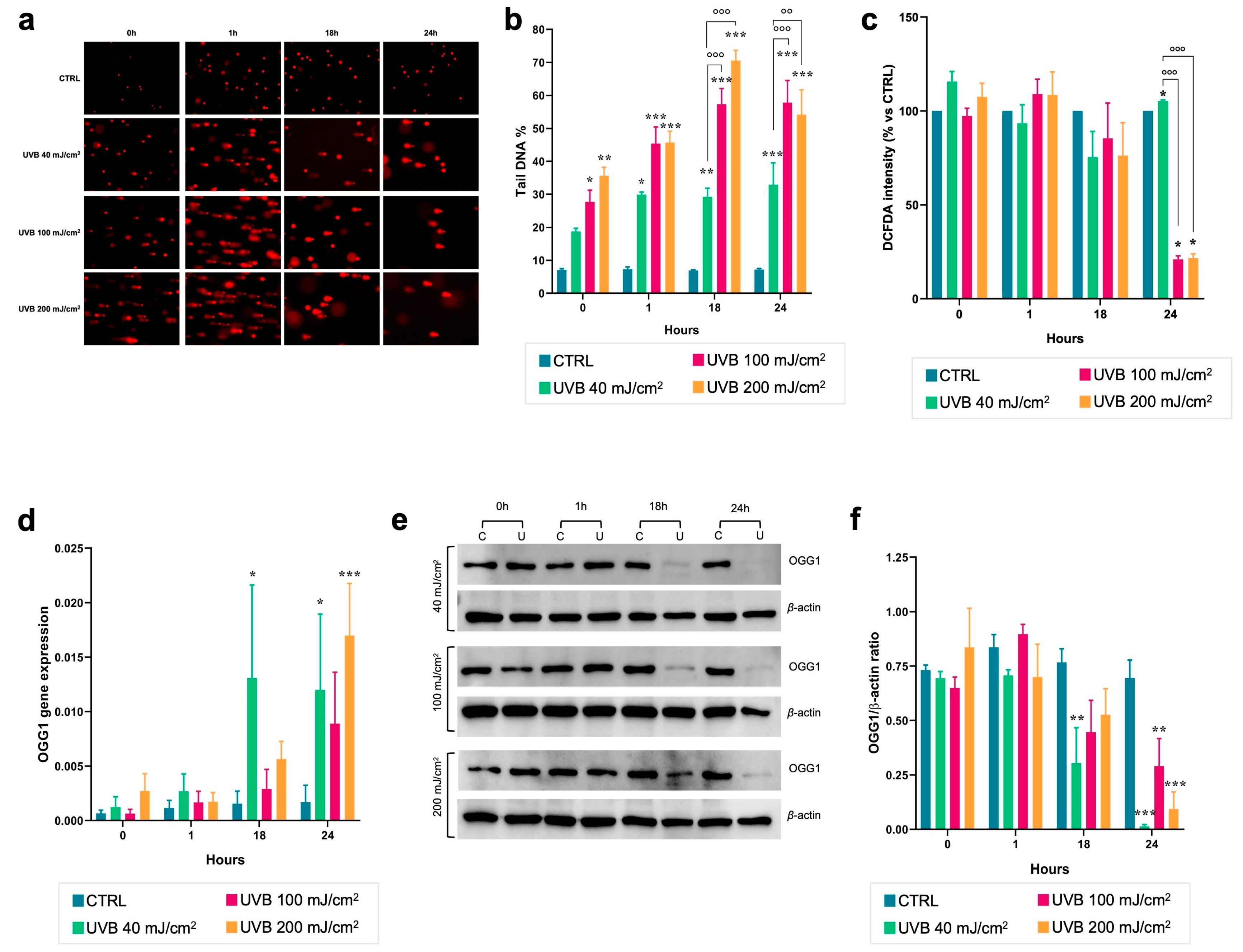Dermato 05 00003 g002