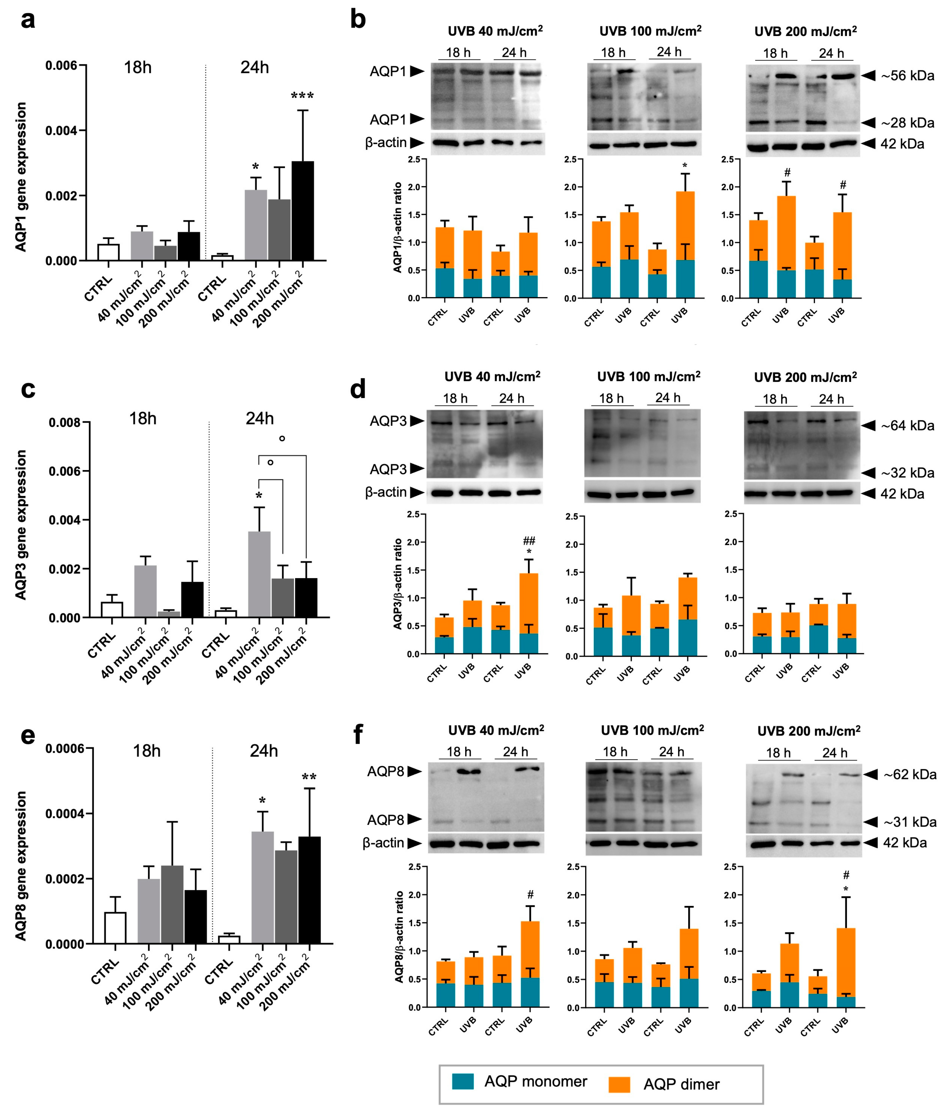 Dermato 05 00003 g003