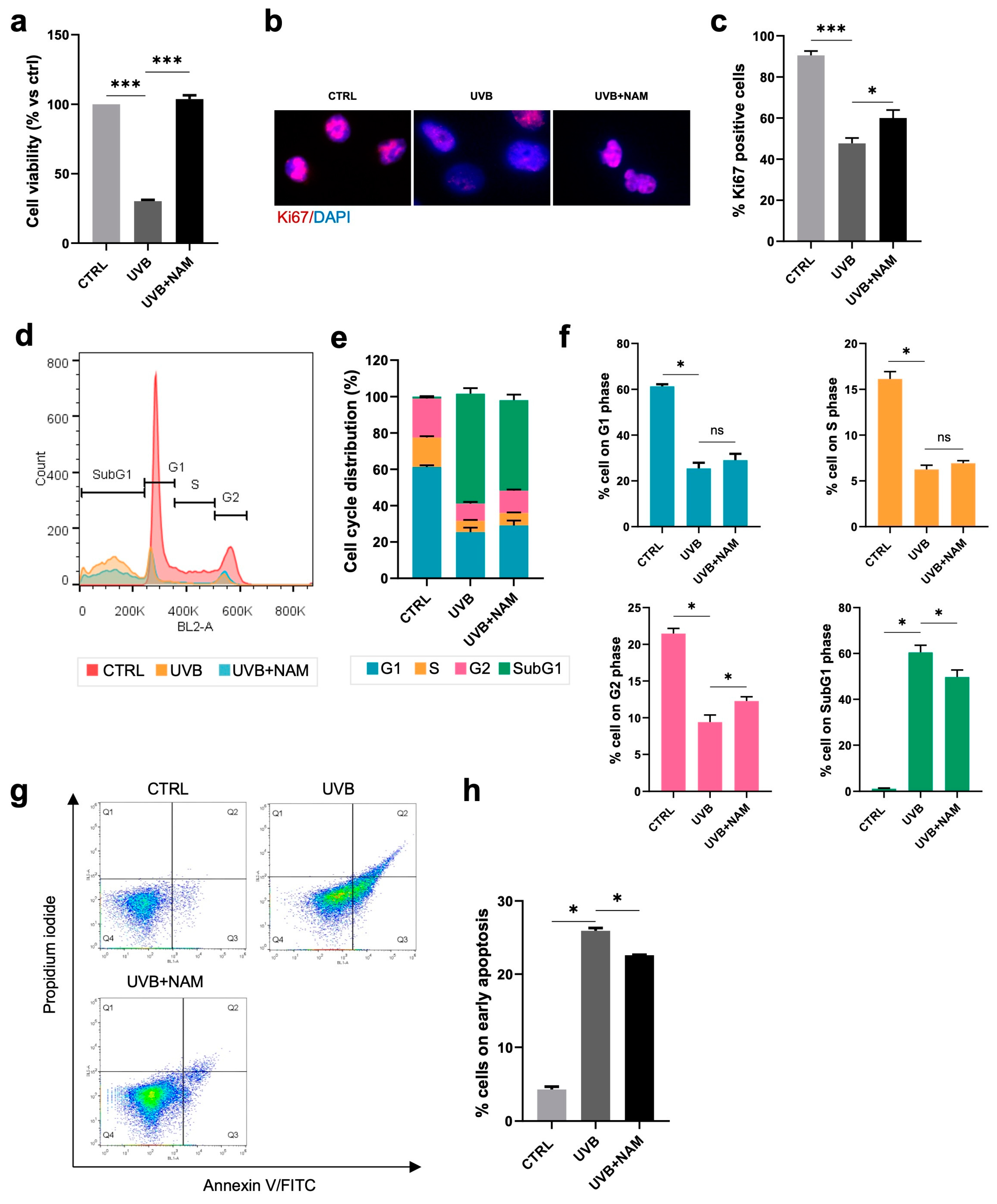 Dermato 05 00003 g004