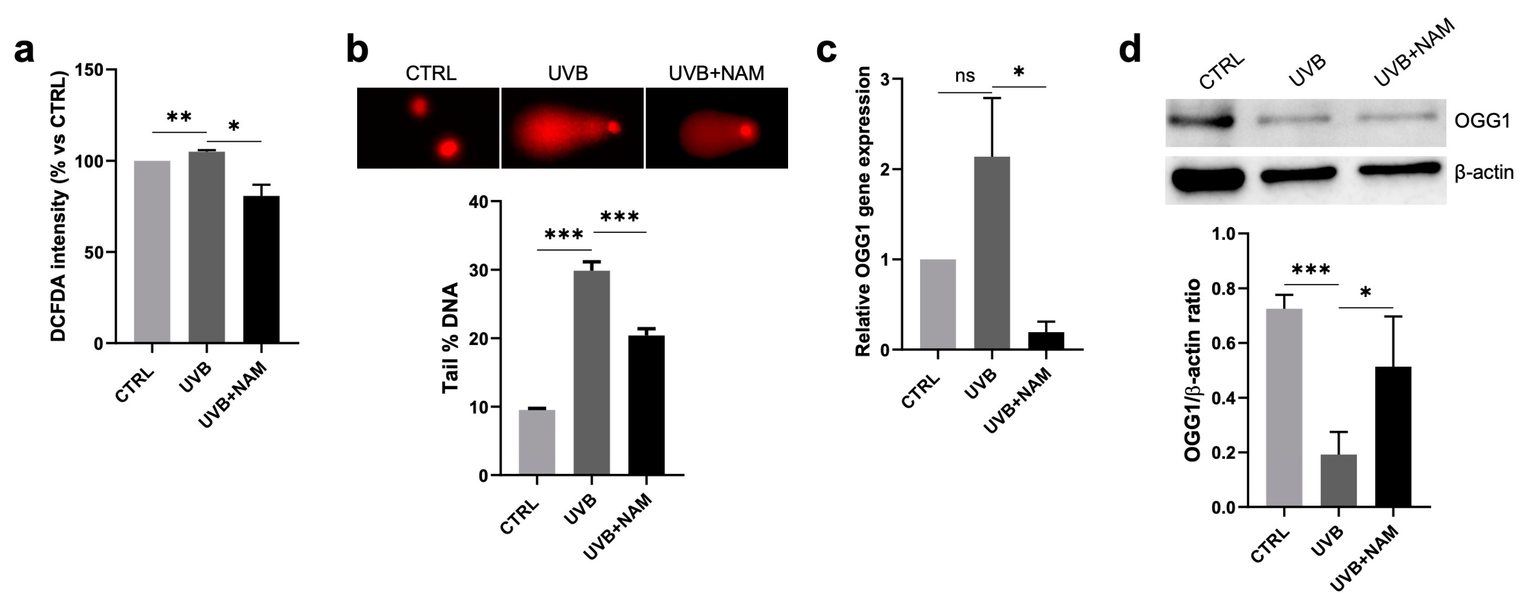 Dermato 05 00003 g005