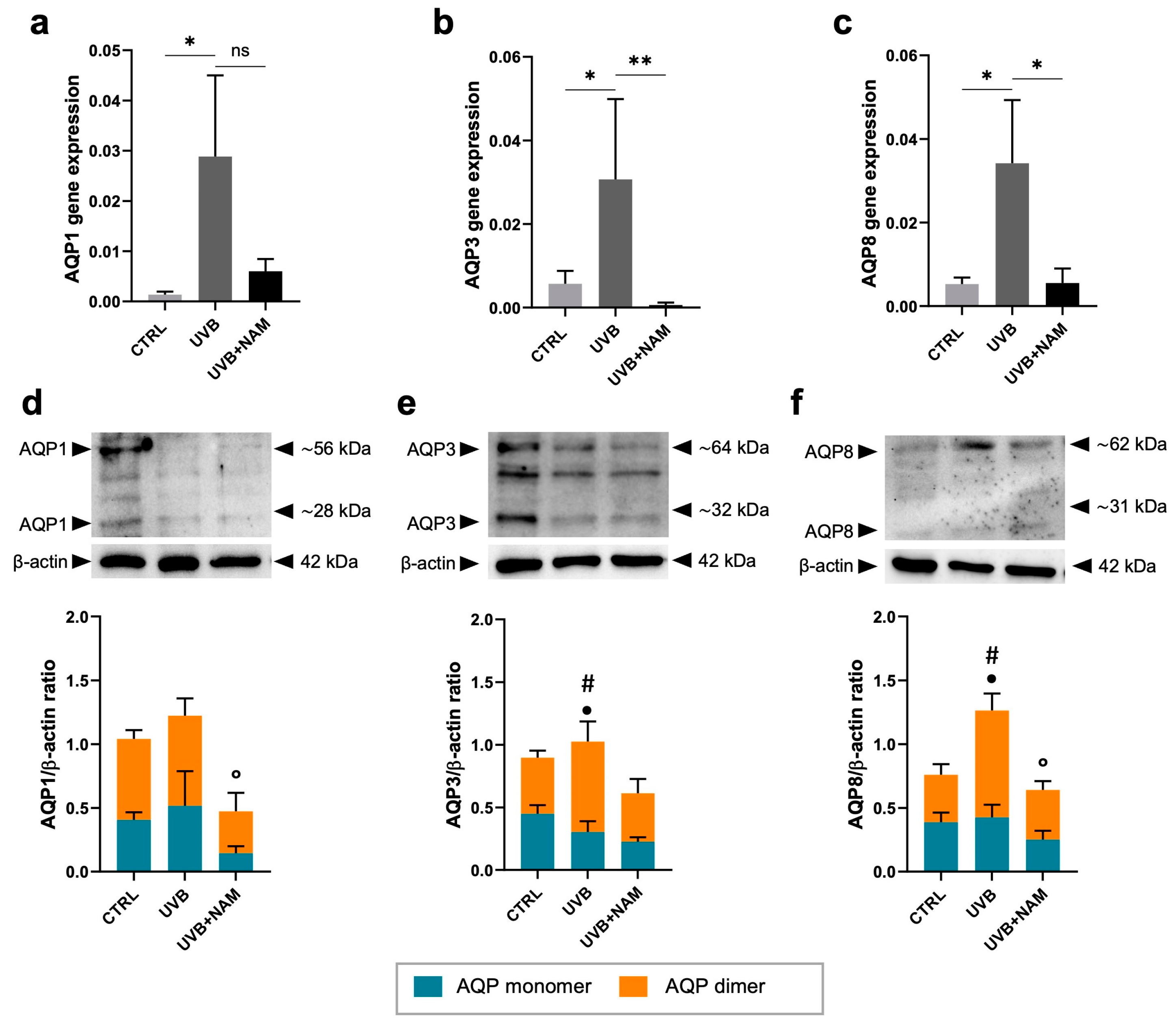 Dermato 05 00003 g006