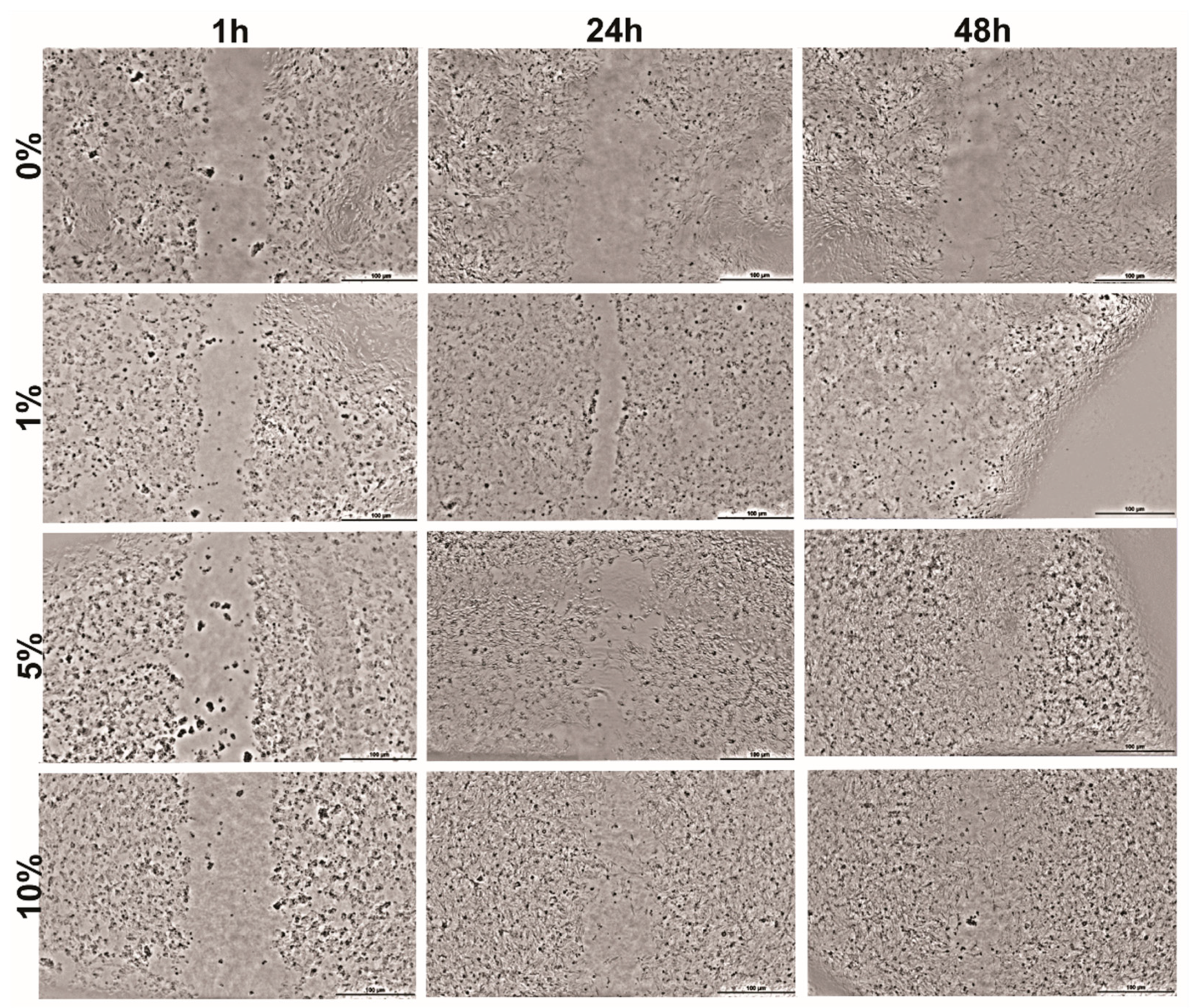 Dermato 05 00004 g004