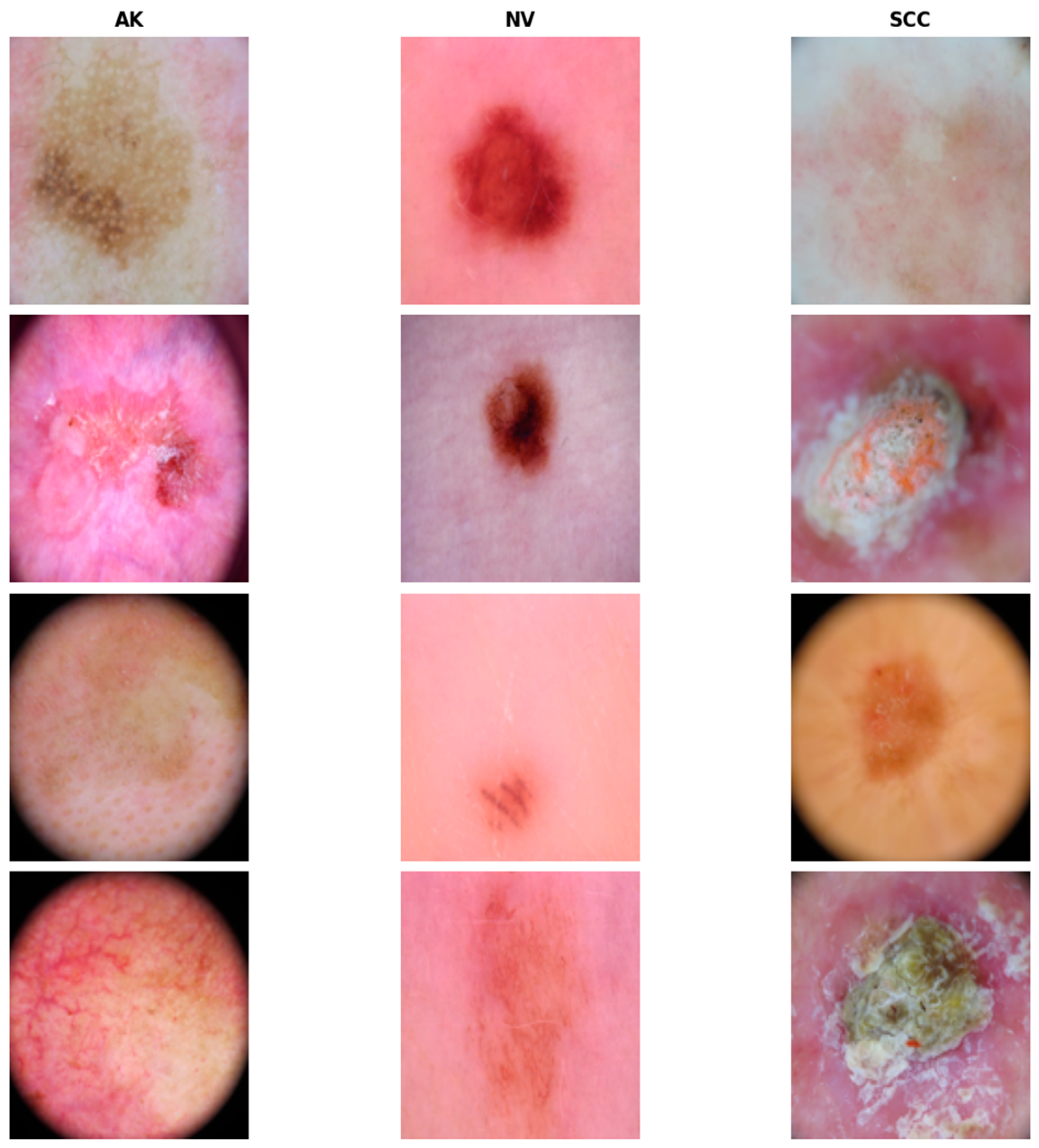 Dermato 05 00007 g001