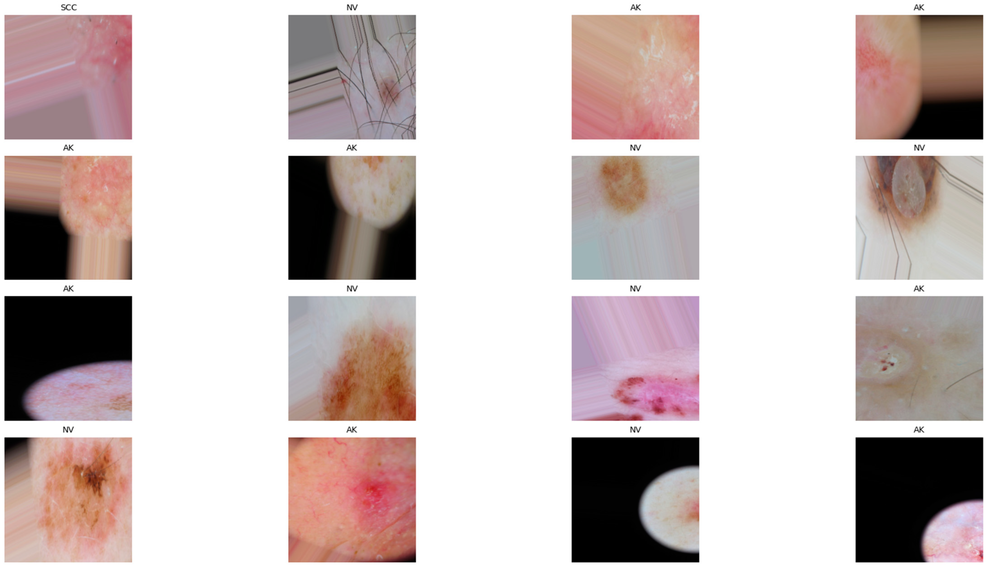 Dermato 05 00007 g002