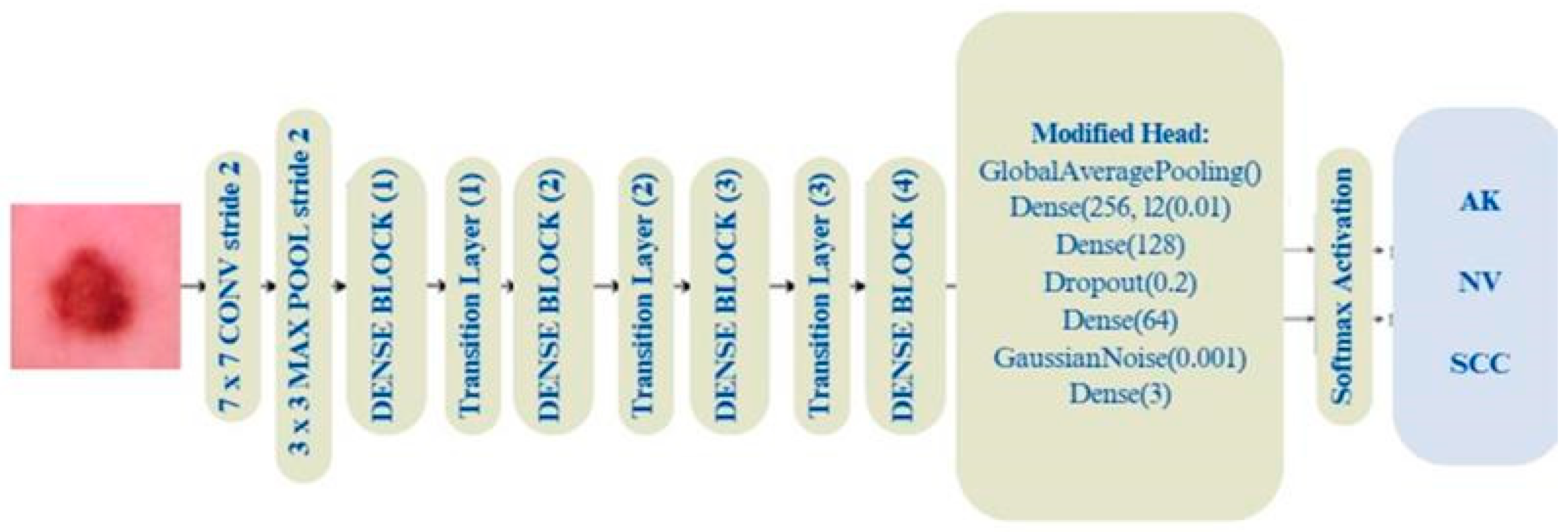 Dermato 05 00007 g003