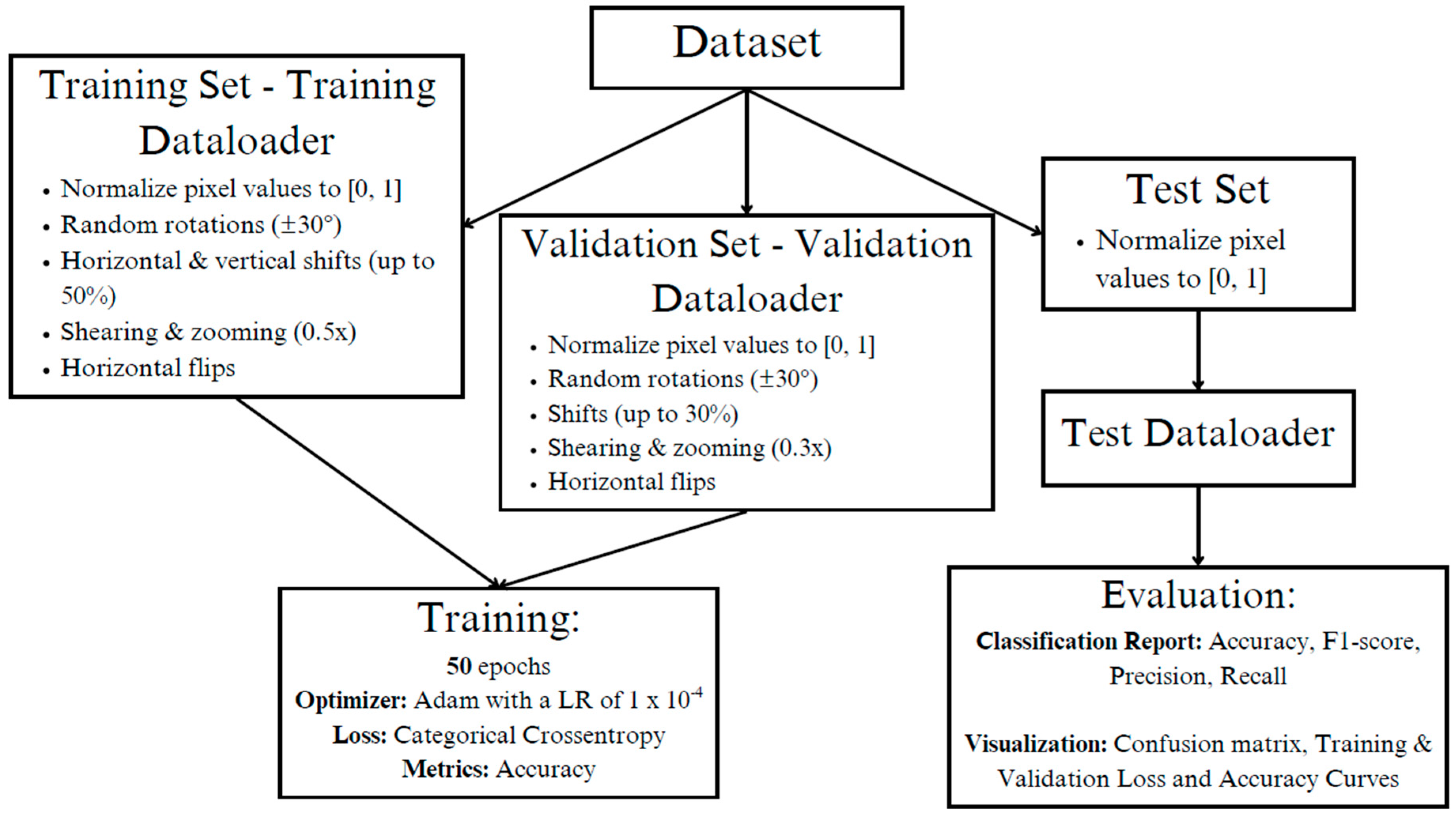 Dermato 05 00007 g004