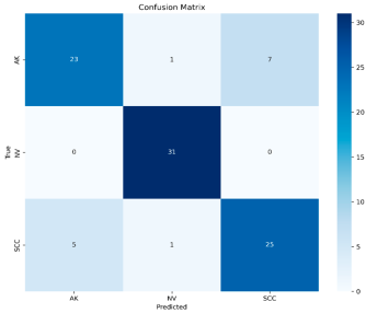 Dermato 05 00007 i006