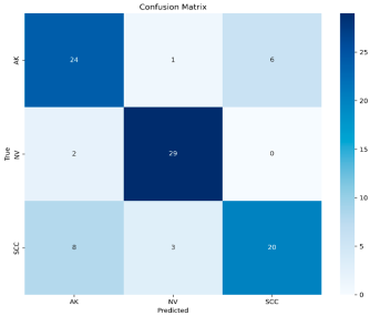 Dermato 05 00007 i012