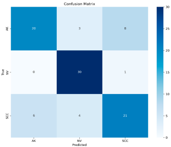 Dermato 05 00007 i015