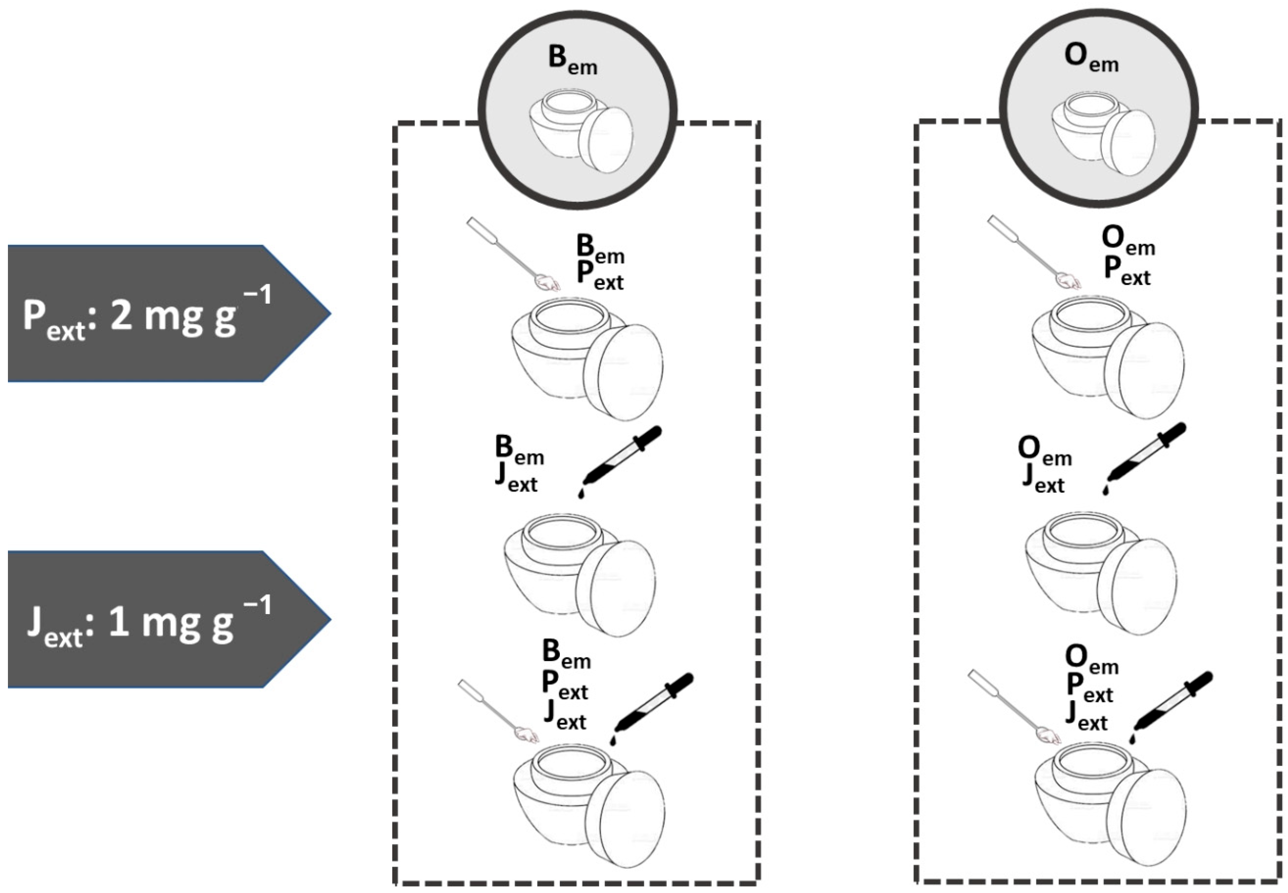 Dermato 05 00019 g001