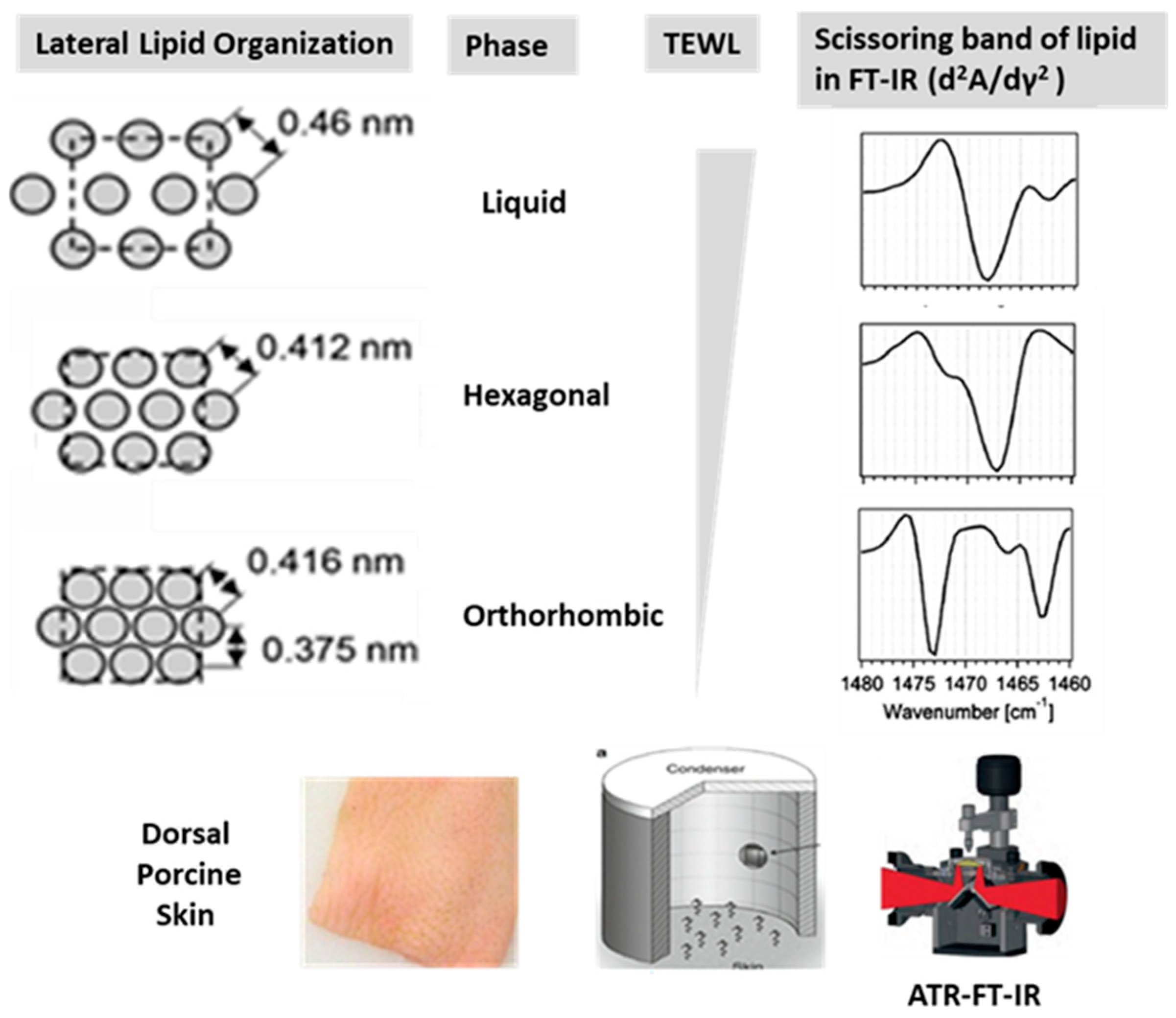 Dermato 05 00020 g001 Dermato 05 00020 g001
