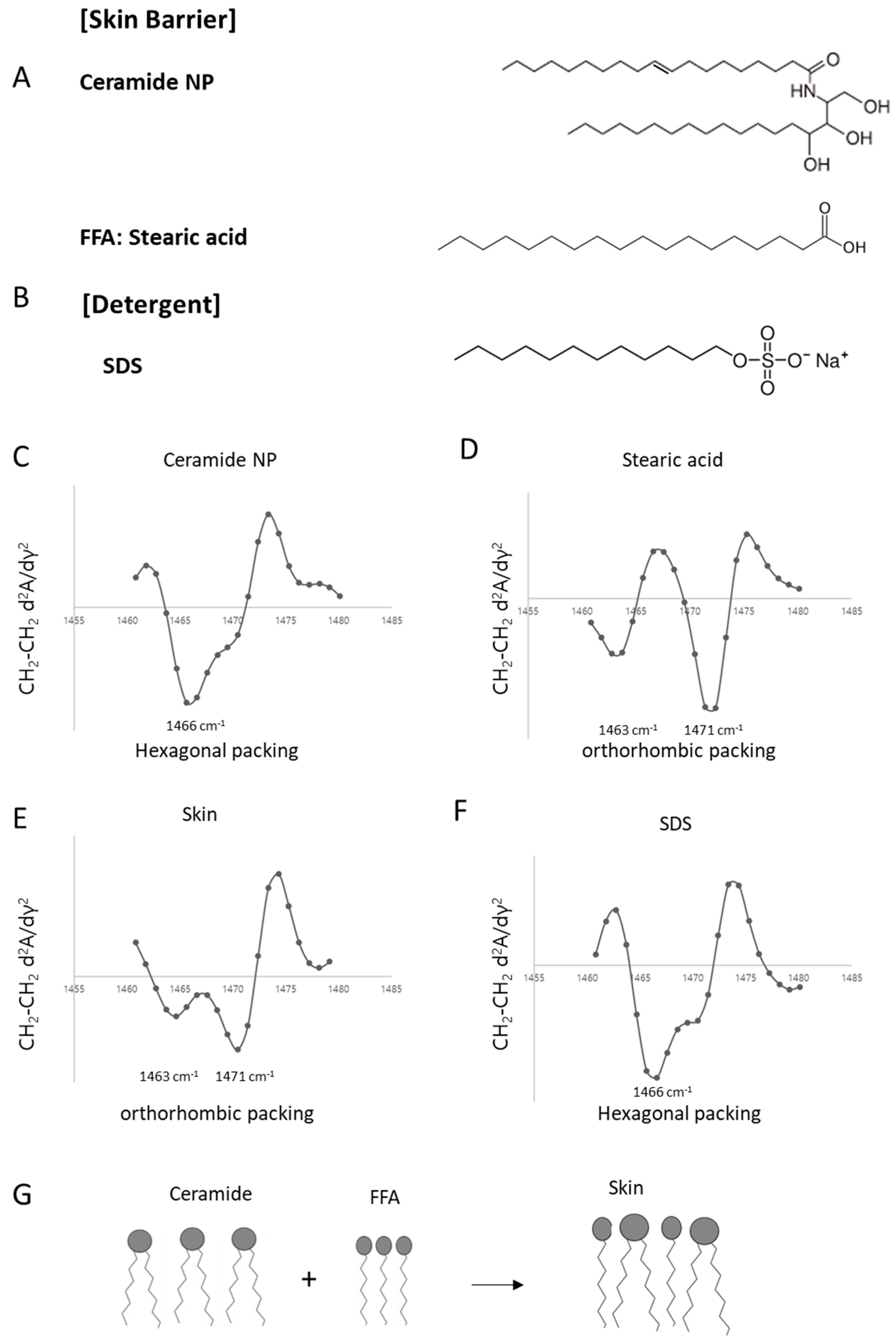 Dermato 05 00020 g002 Dermato 05 00020 g002