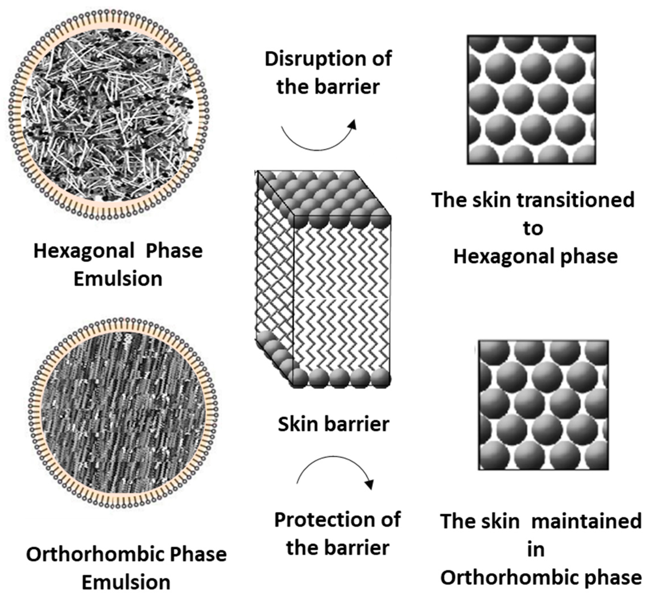 Dermato 05 00020 g008 Dermato 05 00020 g008