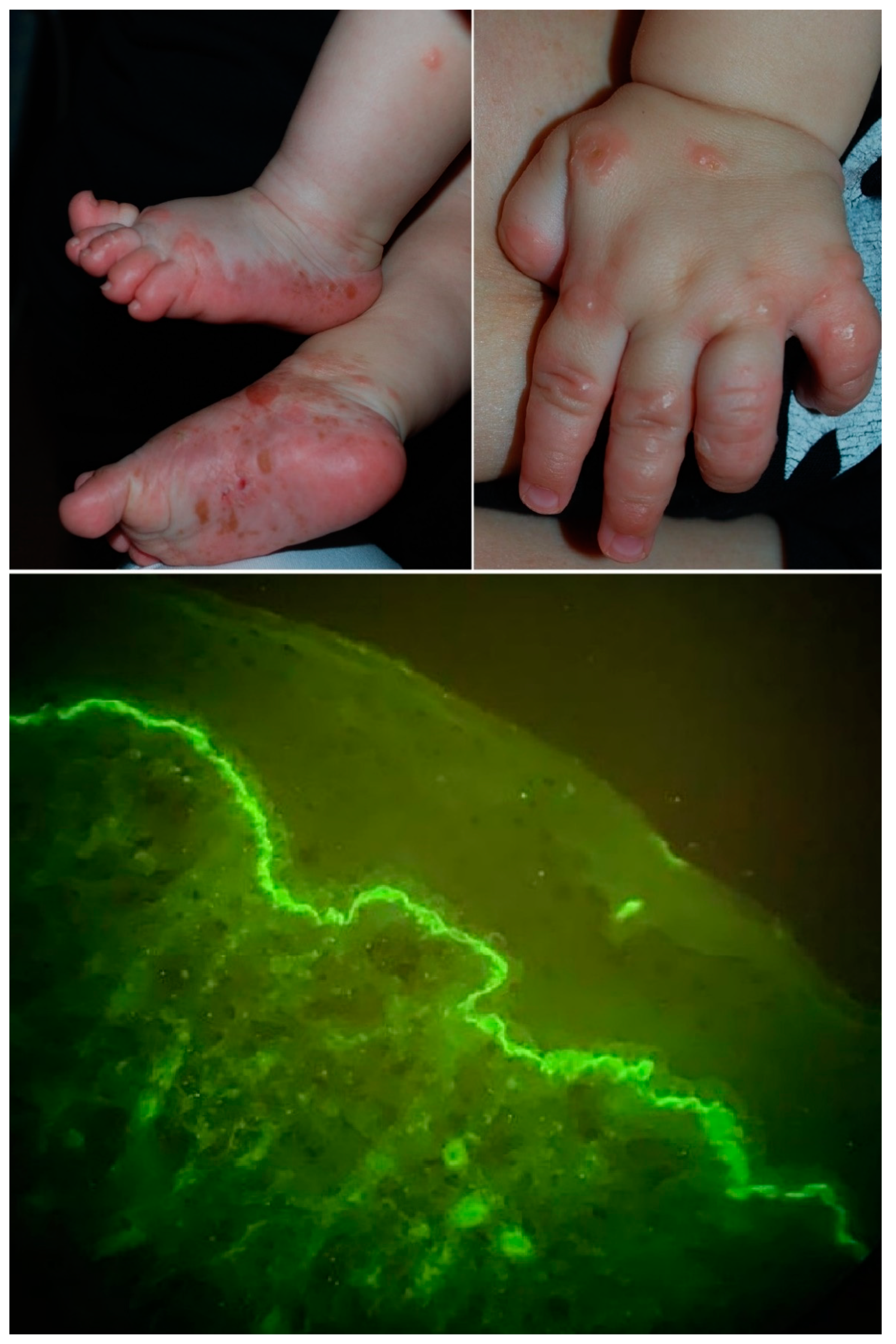 Dermatopathology 08 00006 g001