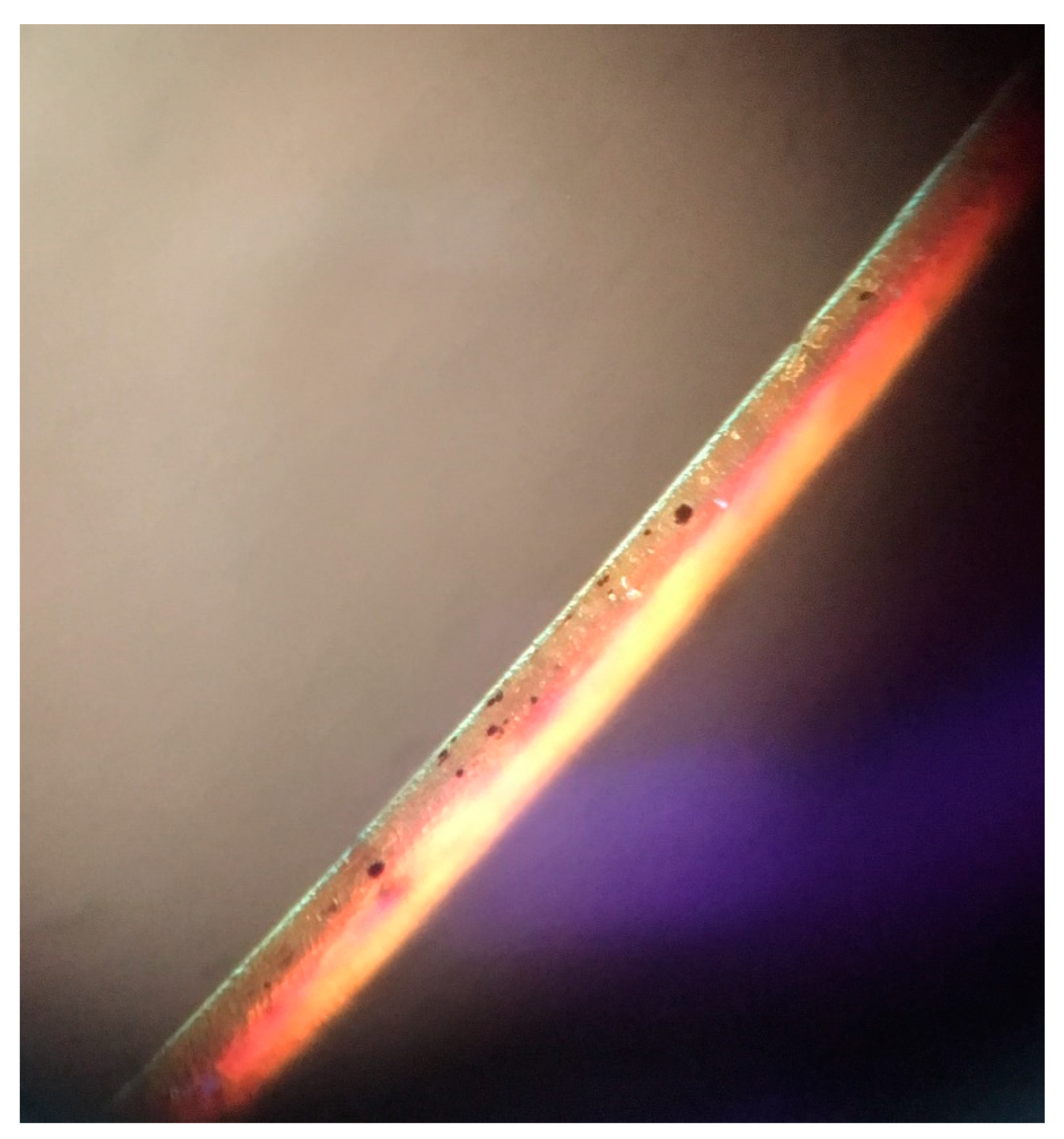 Dermatopathology 08 00010 g003