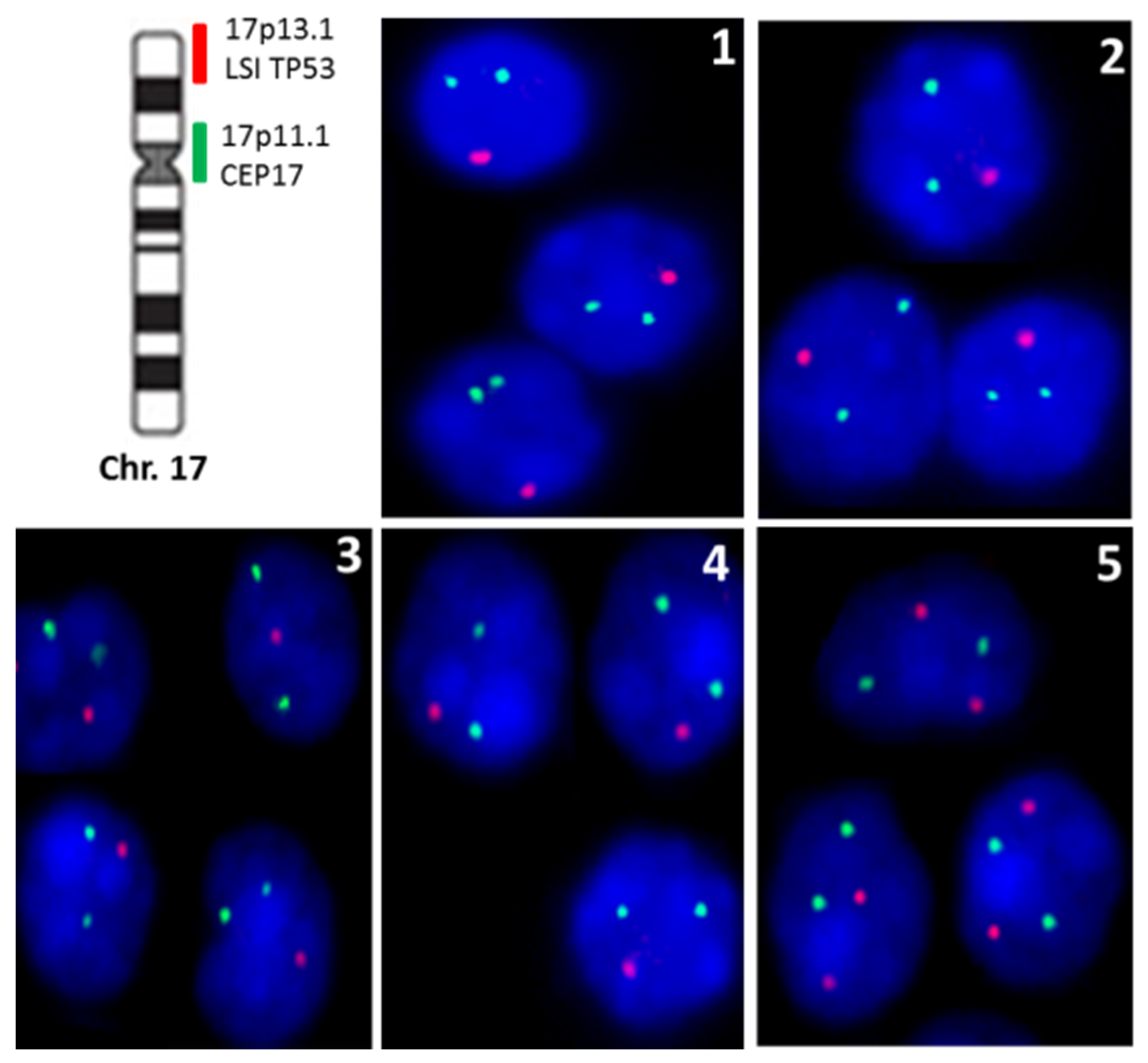 Dermatopathology 08 00021 g005 Dermatopathology 08 00021 g005