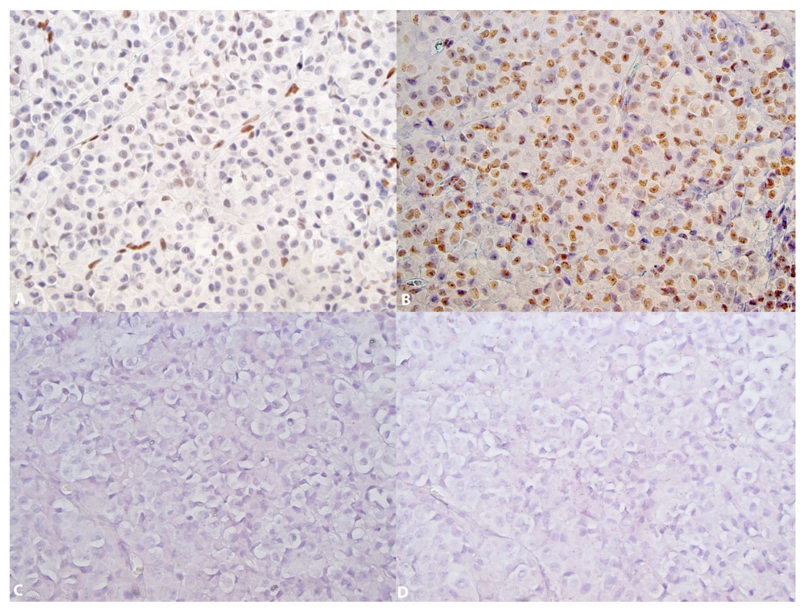 Dermatopathology 08 00023 g003 Dermatopathology 08 00023 g003