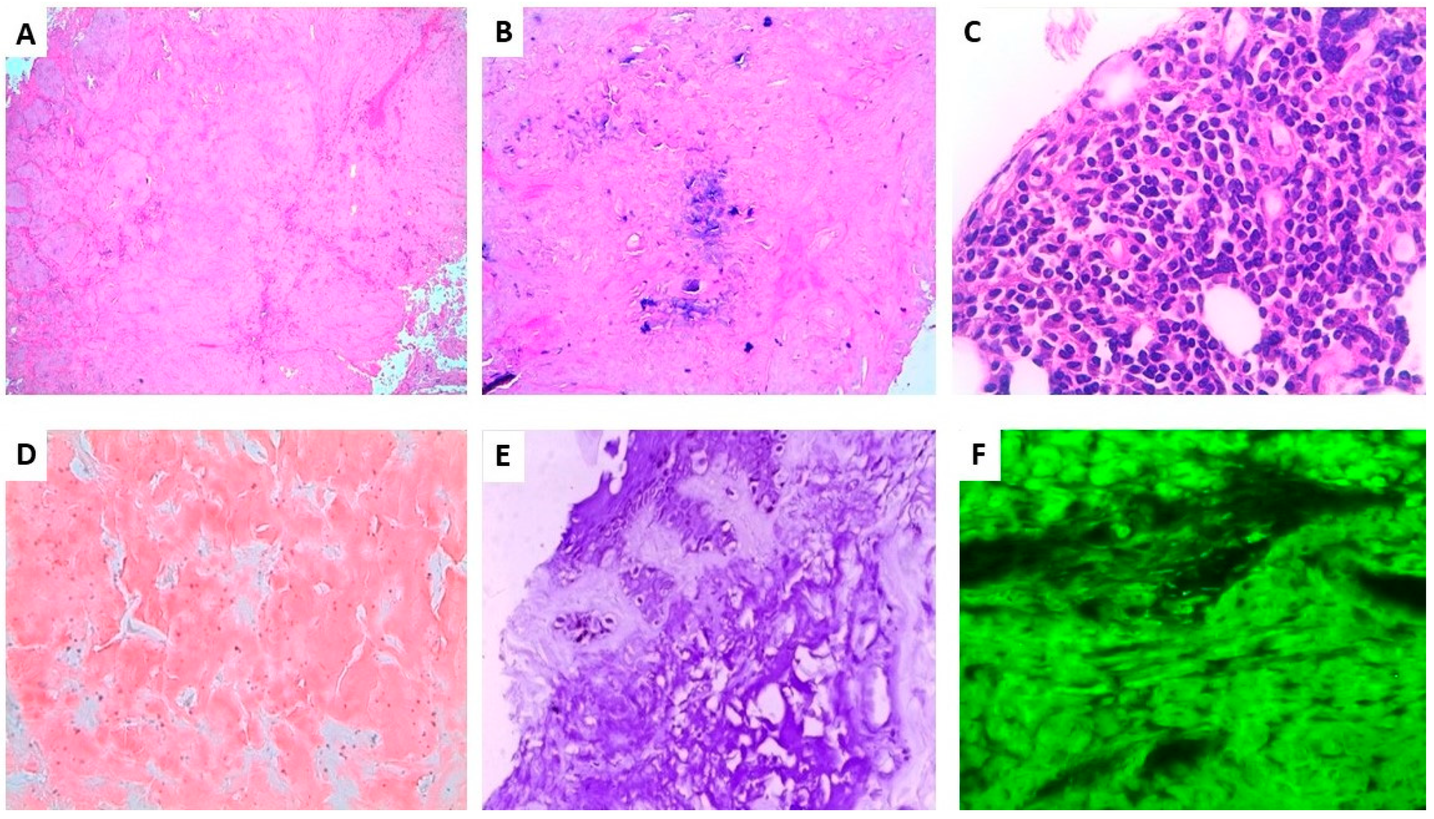 Dermatopathology 08 00028 g003