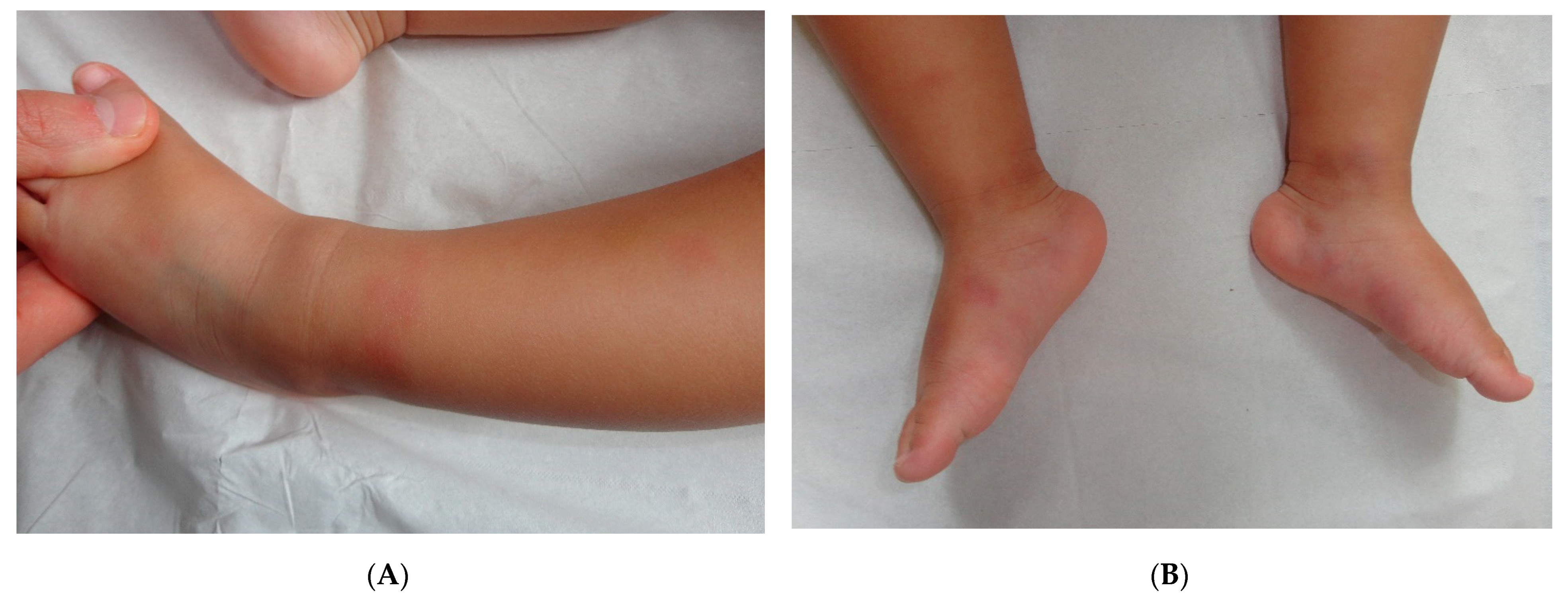 Dermatopathology 08 00037 g003a Dermatopathology 08 00037 g003a