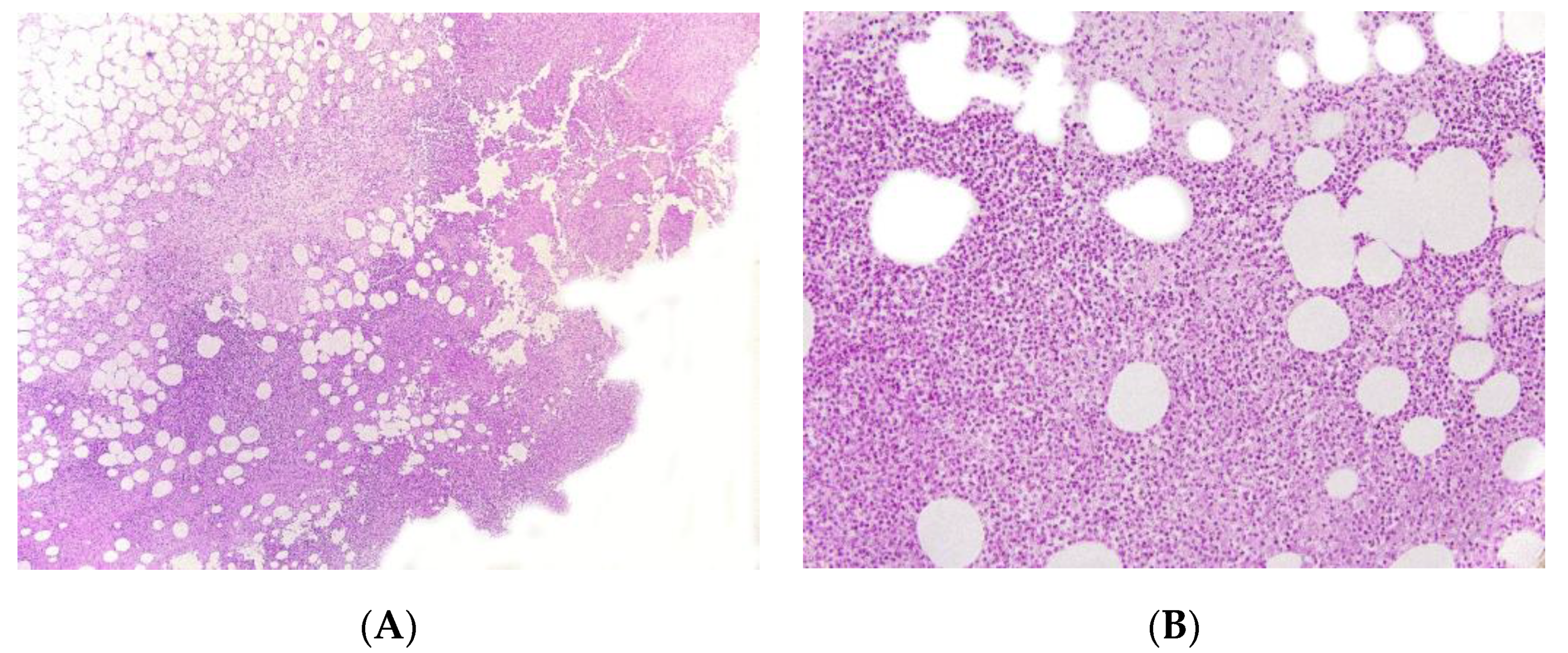 Dermatopathology 08 00037 g004 Dermatopathology 08 00037 g004