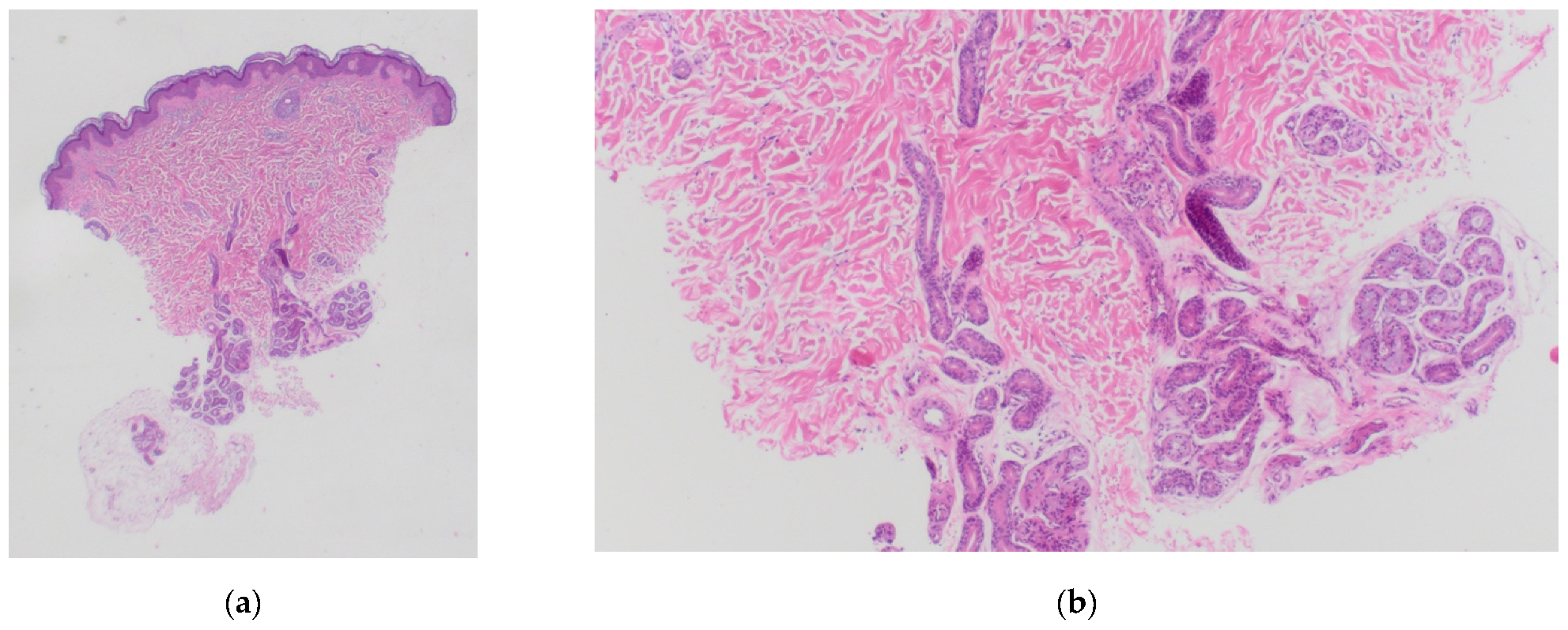 Dermatopathology 08 00047 g002