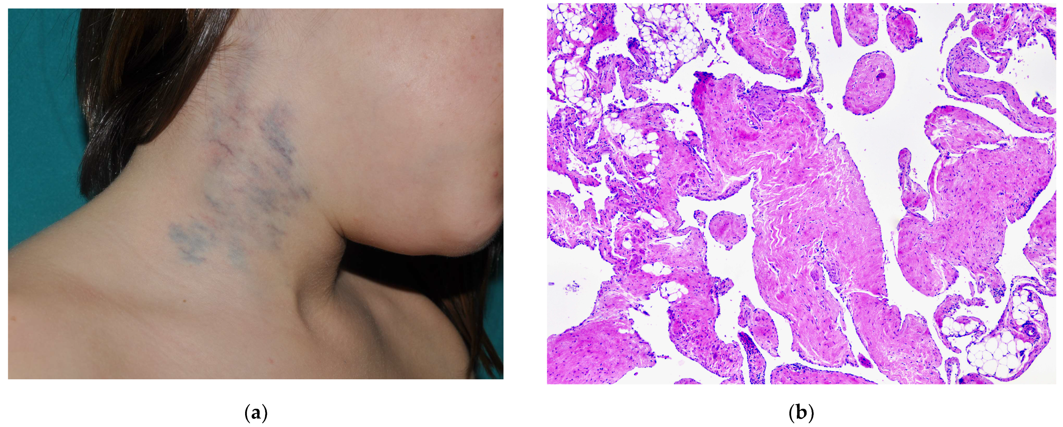 Dermatopathology 08 00050 g001a 550