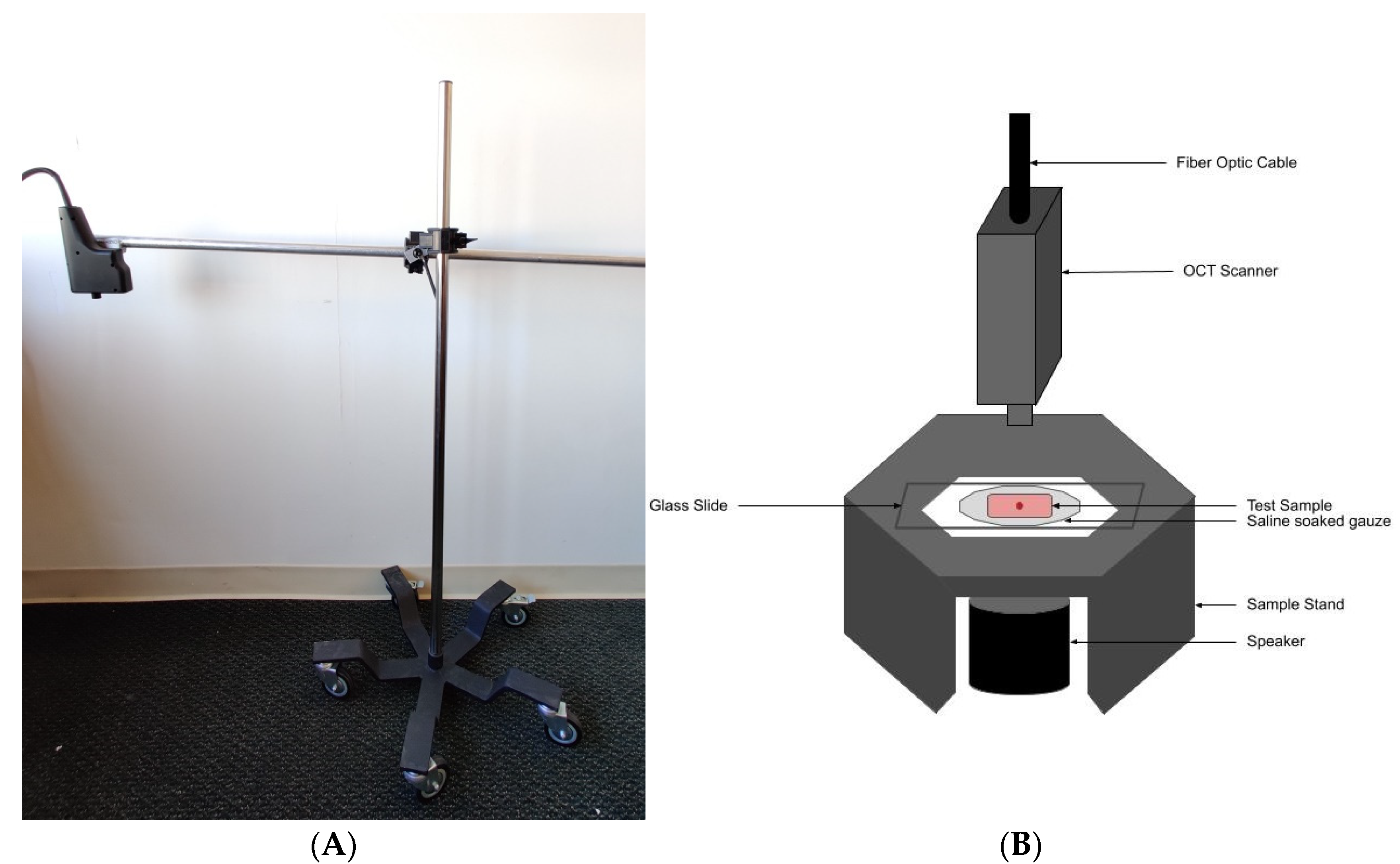 Dermatopathology 08 00058 g001