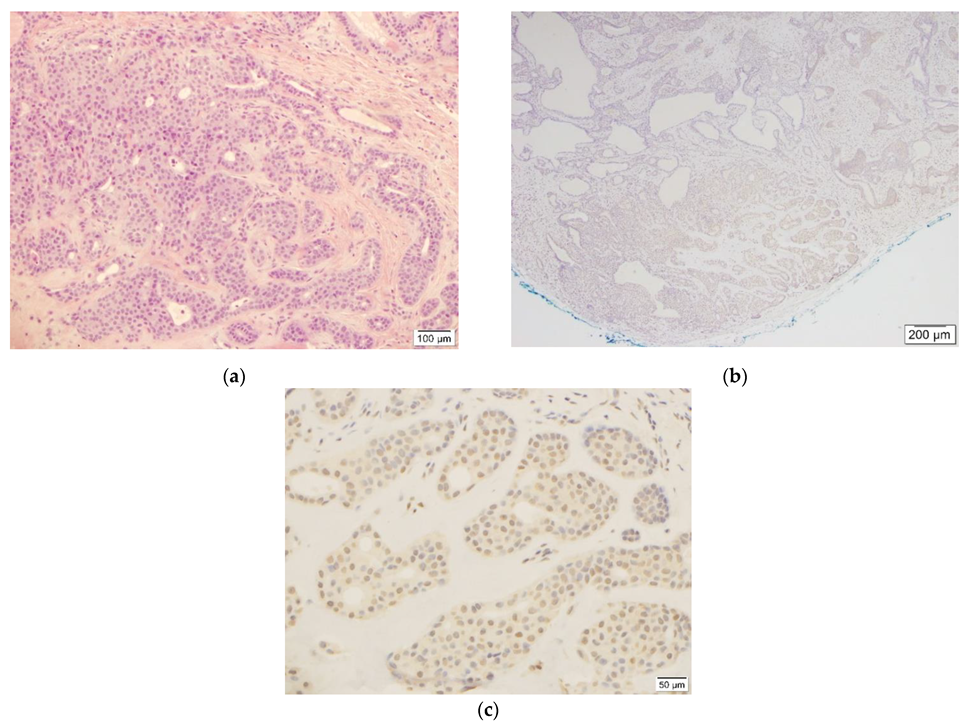 Dermatopathology 09 00008 g001