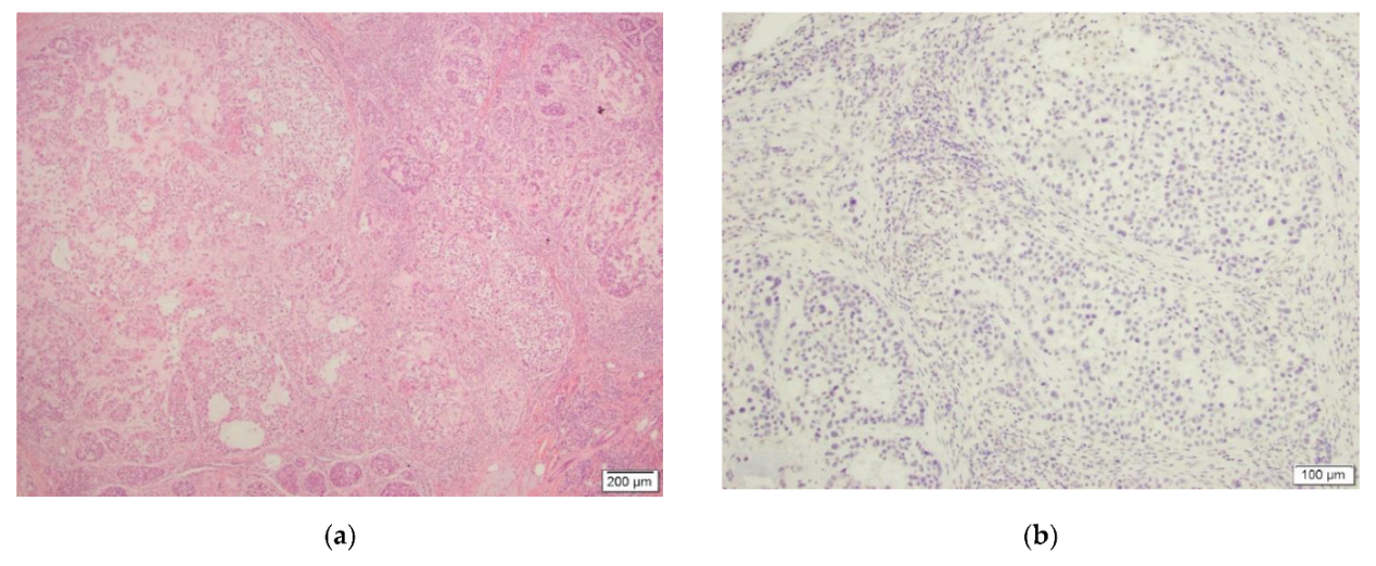 Dermatopathology 09 00008 g003
