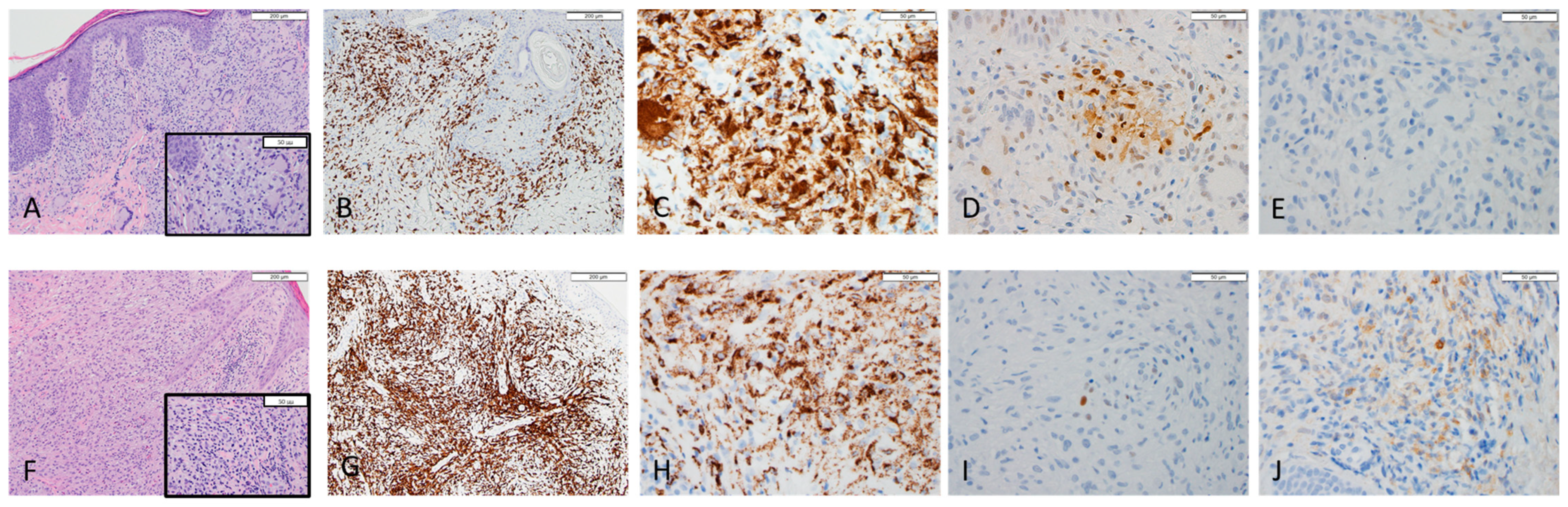 Dermatopathology 09 00009 g001 550