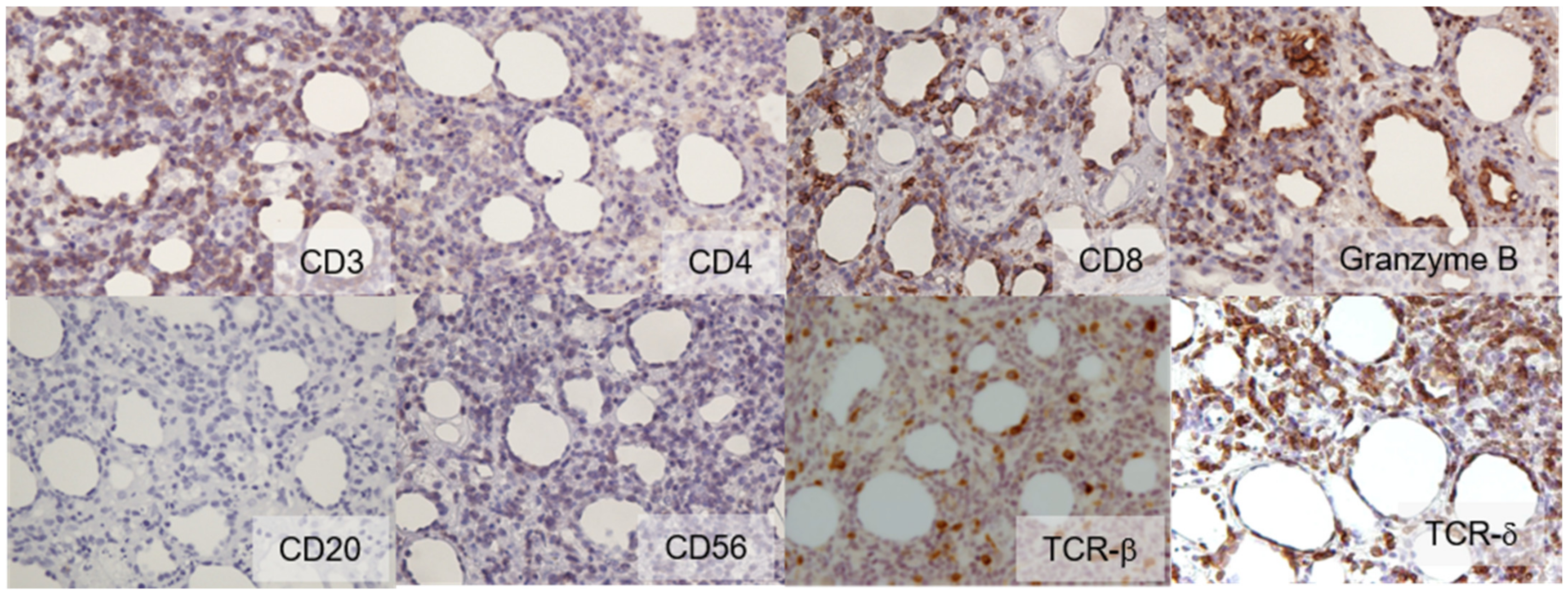 Dermatopathology 09 00018 g003 550