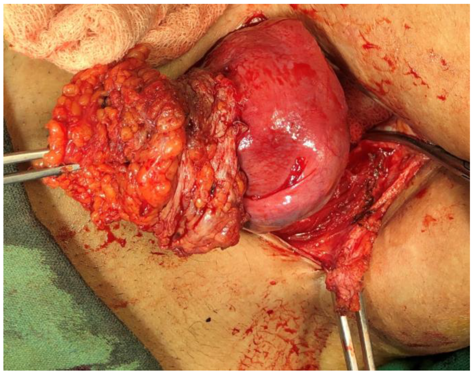 Dermatopathology 09 00020 g001 550