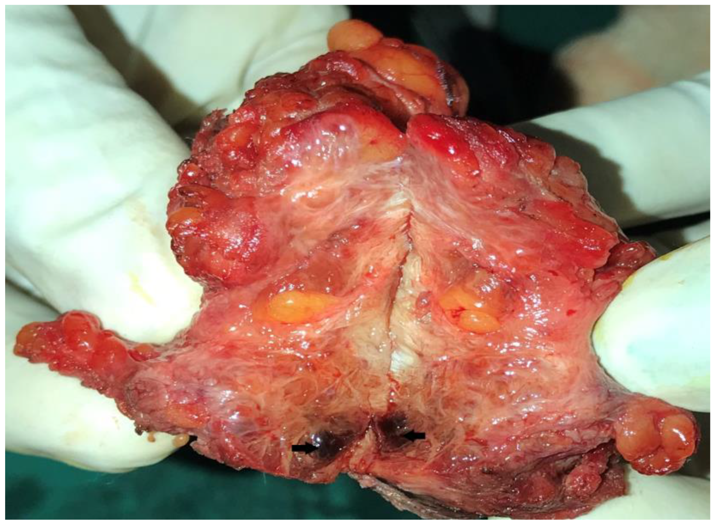 Dermatopathology 09 00020 g003 550