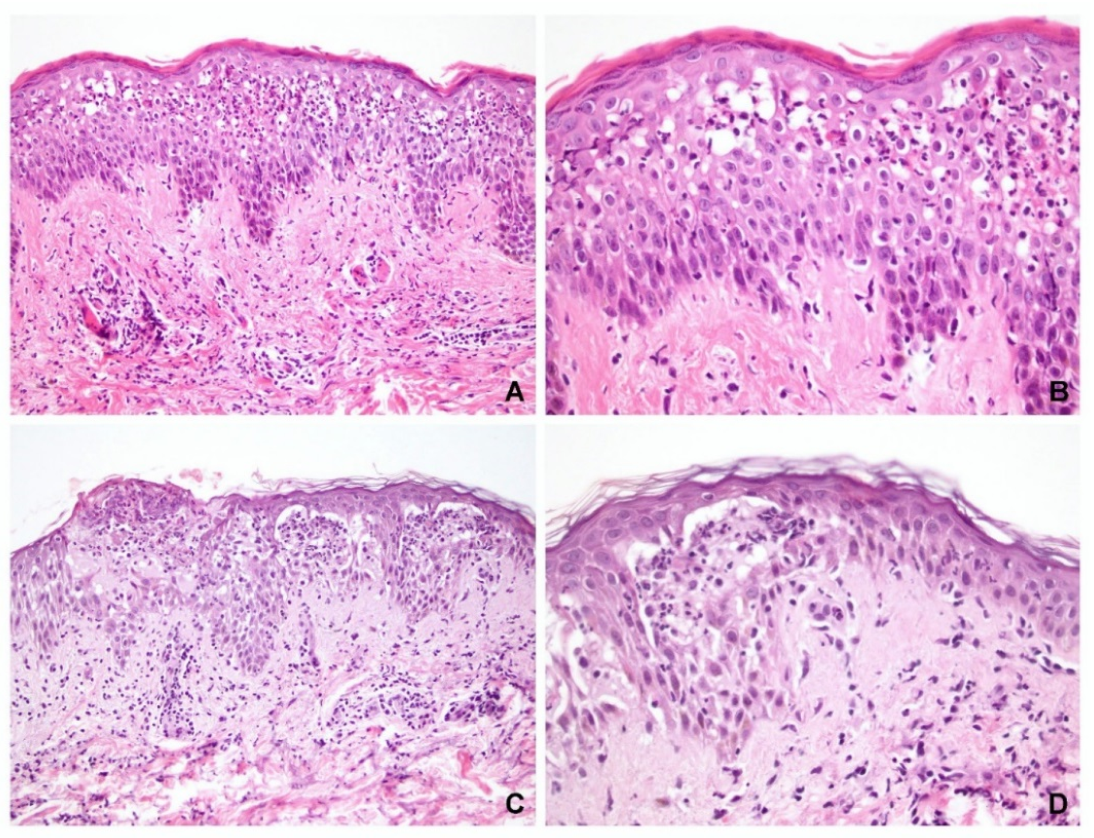 Dermatopathology 09 00022 g001 550