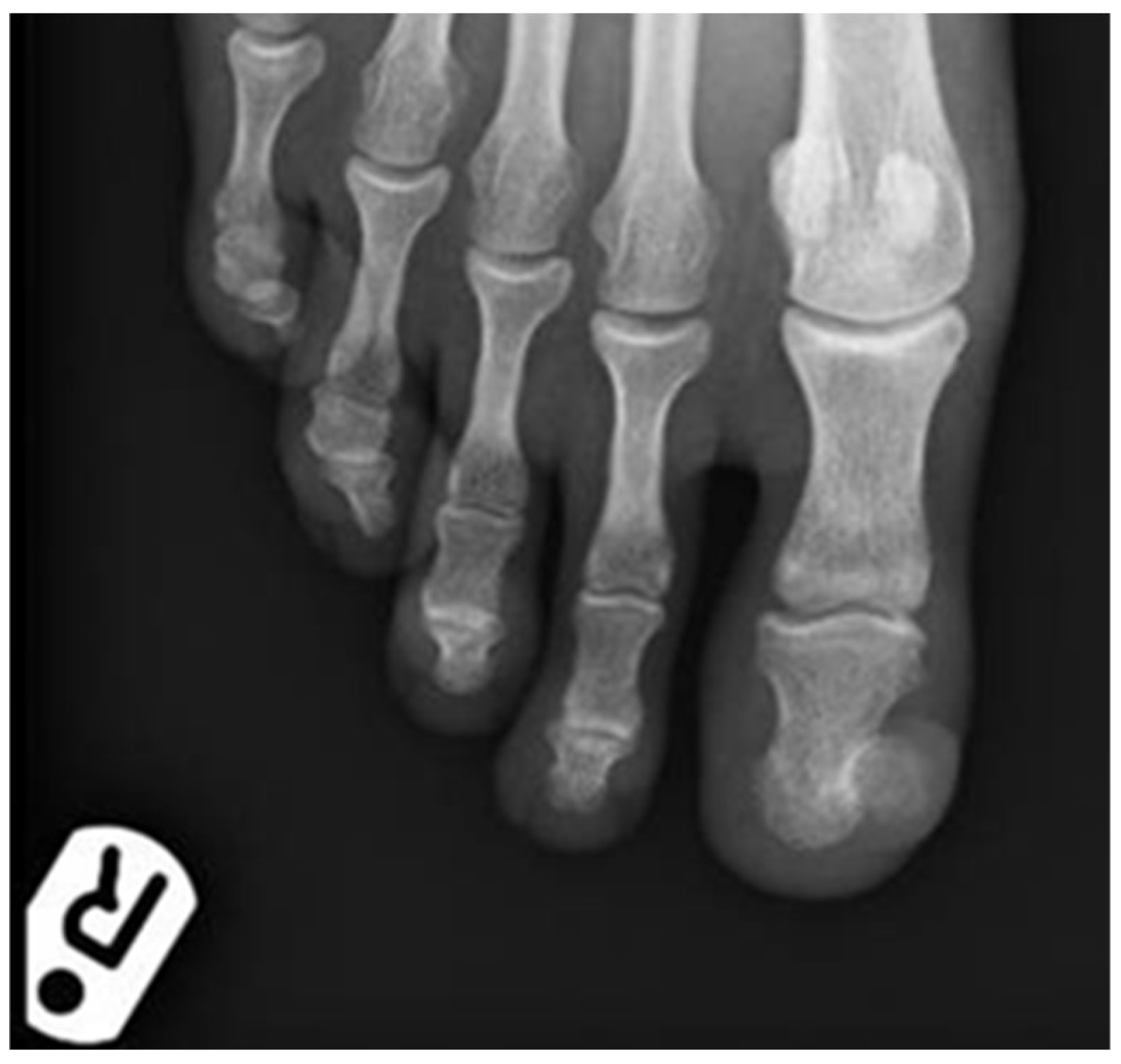 Dermatopathology 09 00024 g002 550