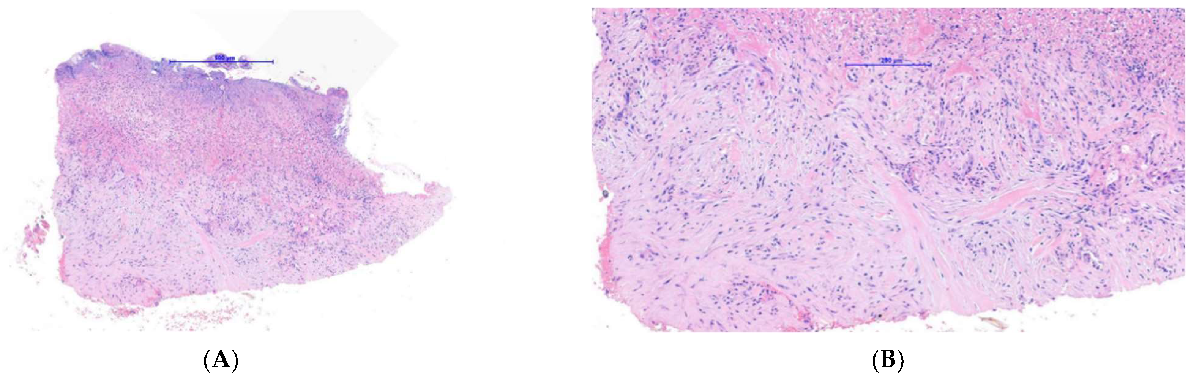 Dermatopathology 09 00024 g005a 550