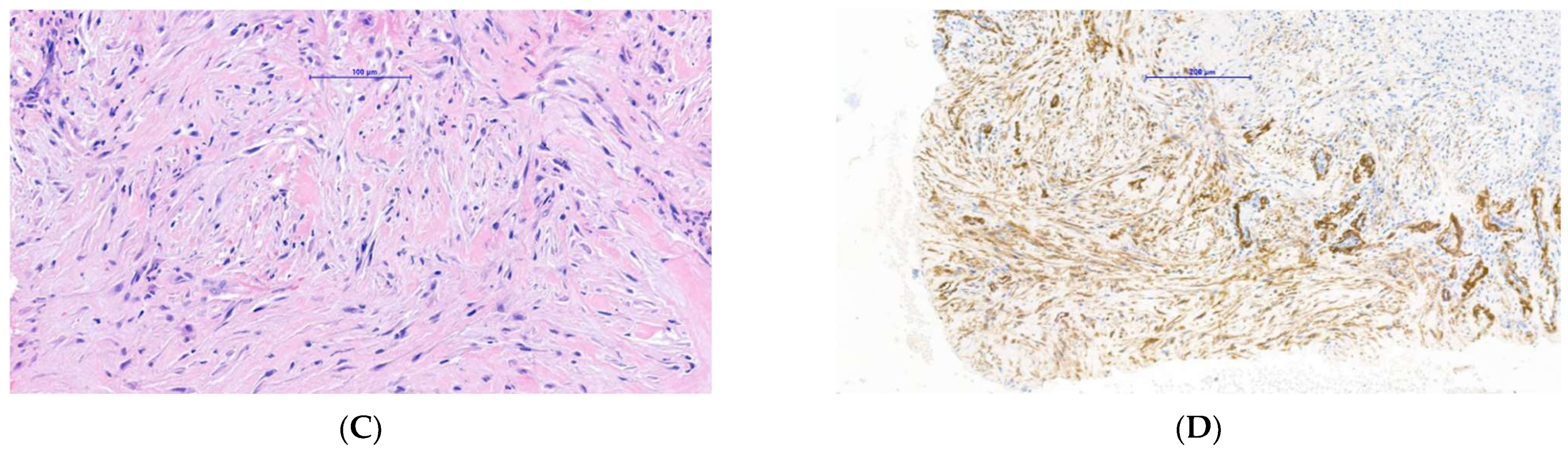 Dermatopathology 09 00024 g005b 550