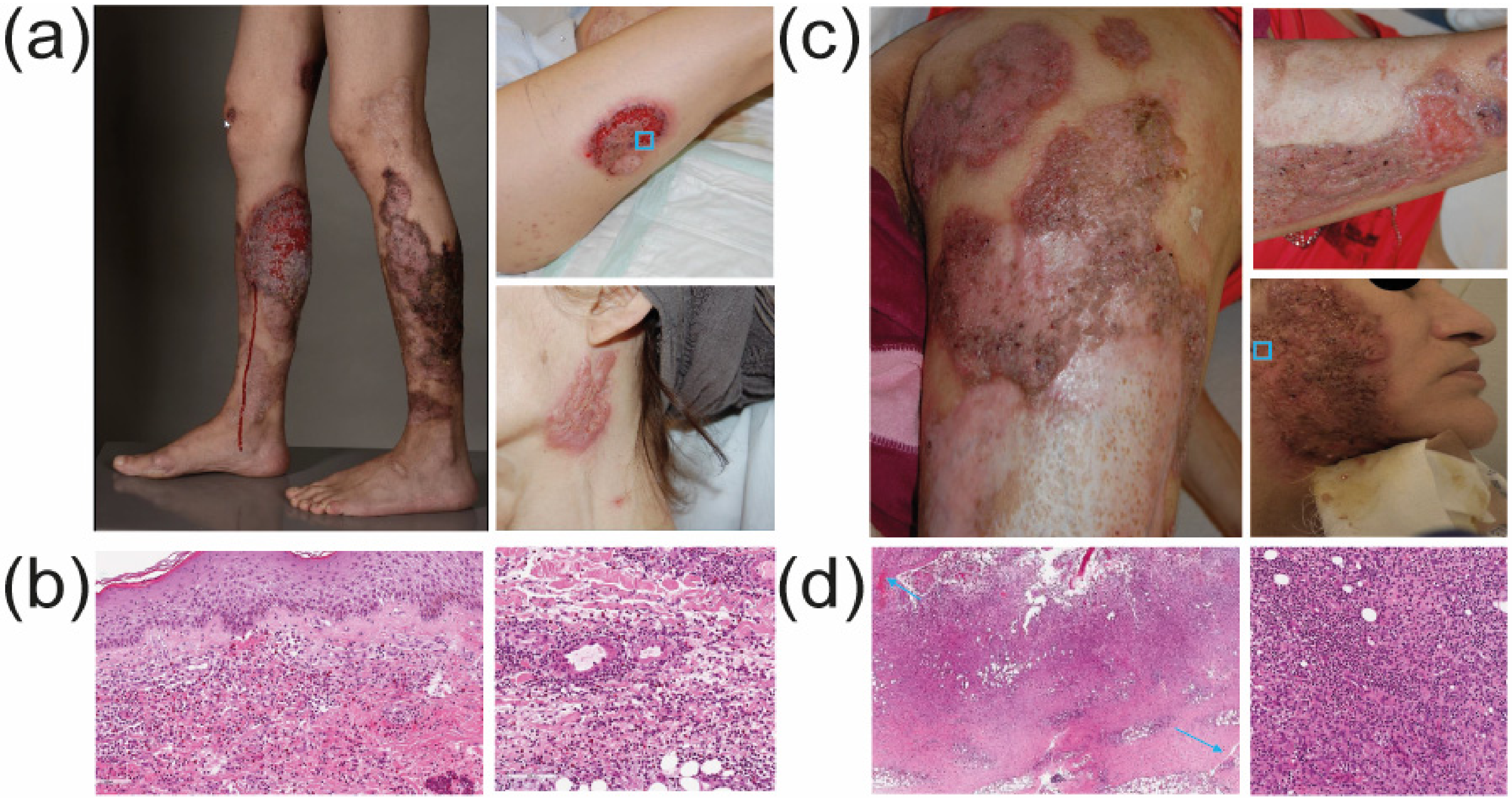 Dermatopathology 09 00026 g001 550