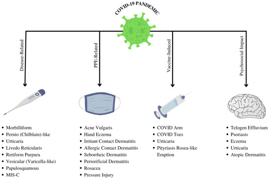 SURVEY: Impact of Coronavirus on the Art Therapy Profession